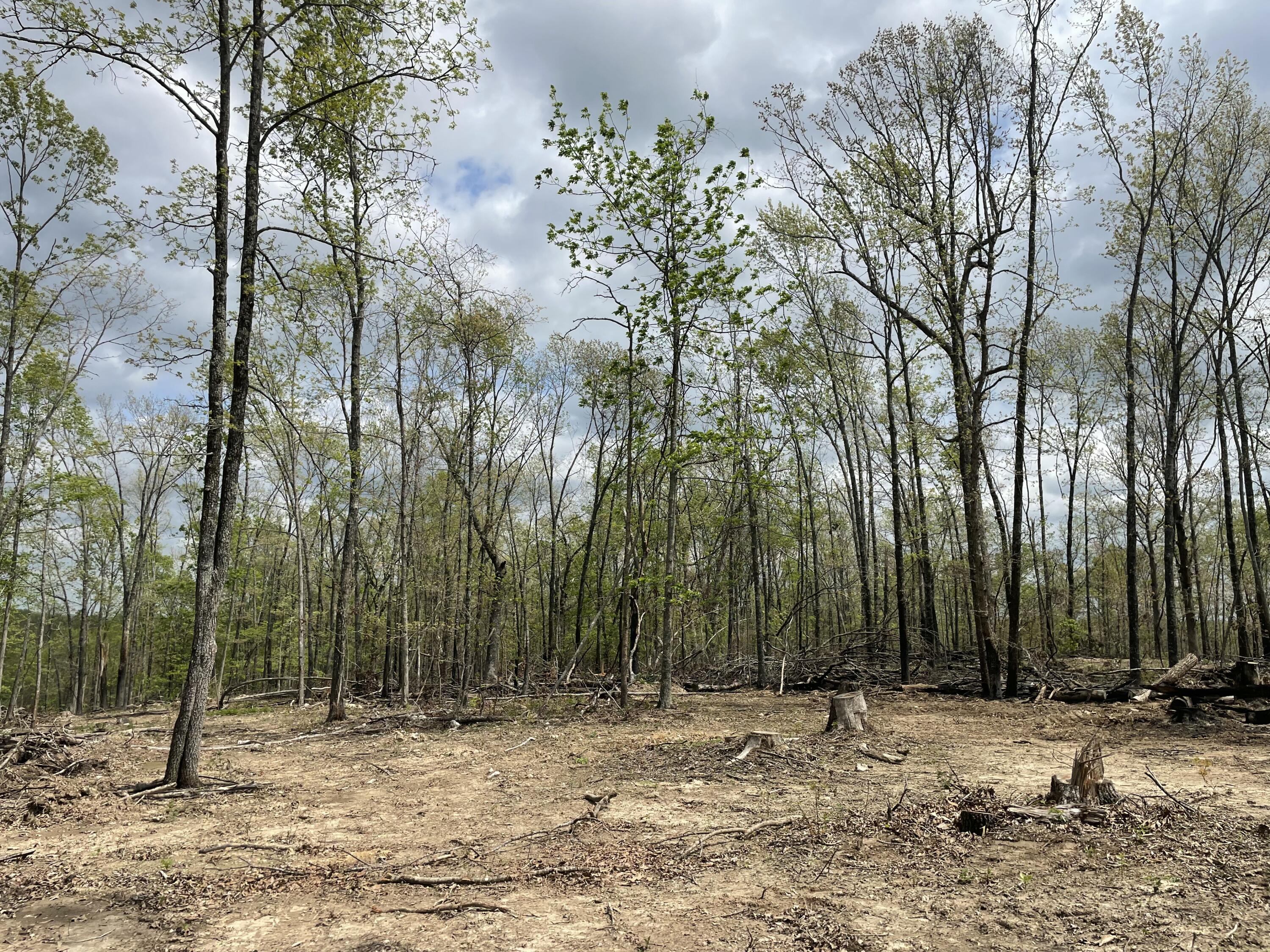 Photo 41 - Land for sale – 000  State Hwy N, Tract G   Ava, MO