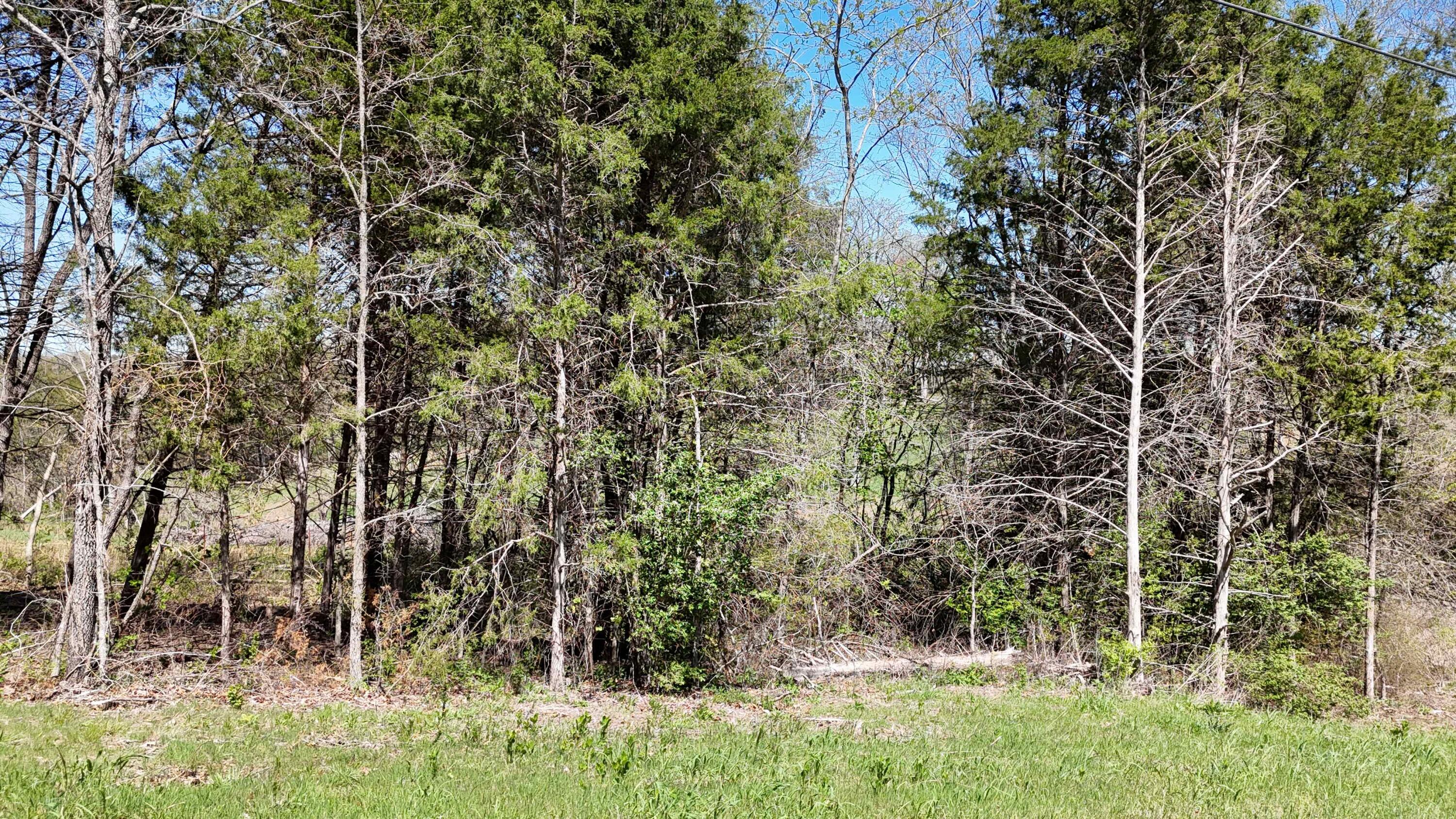 Land for sale – Lot #17  Farm Road 2262   Golden, MO