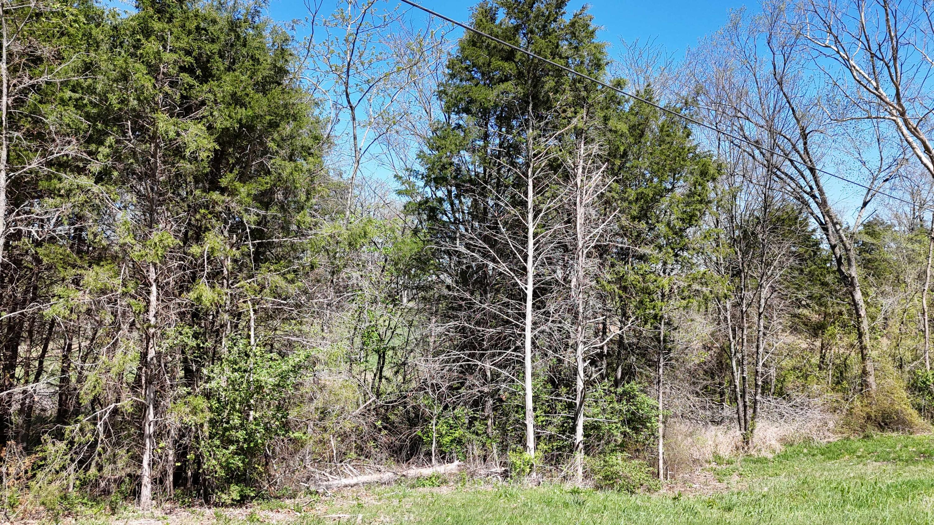 Photo 5 - Land for sale – Lot #17  Farm Road 2262   Golden, MO