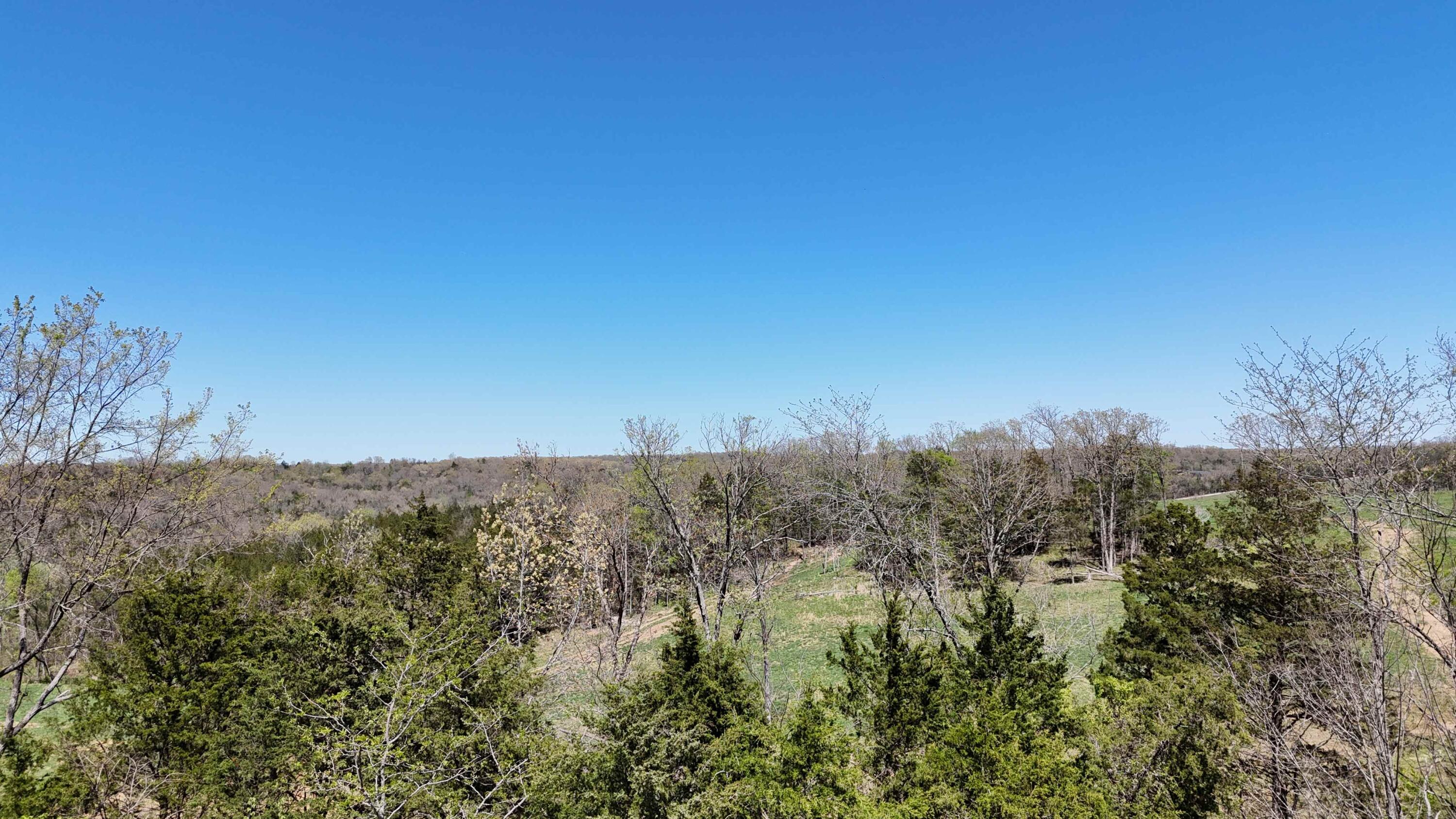 Photo 2 - Land for sale – Lot #17  Farm Road 2262   Golden, MO