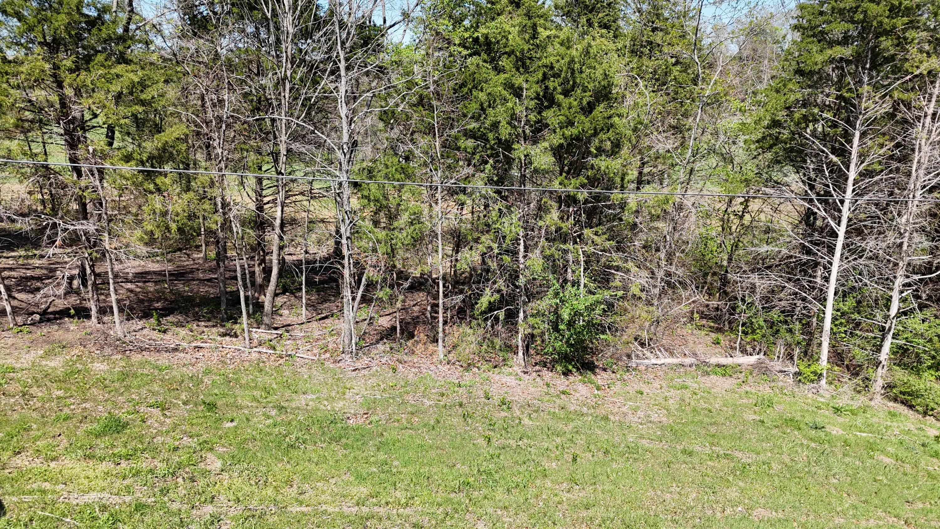 Photo 4 - Land for sale – Lot #17  Farm Road 2262   Golden, MO