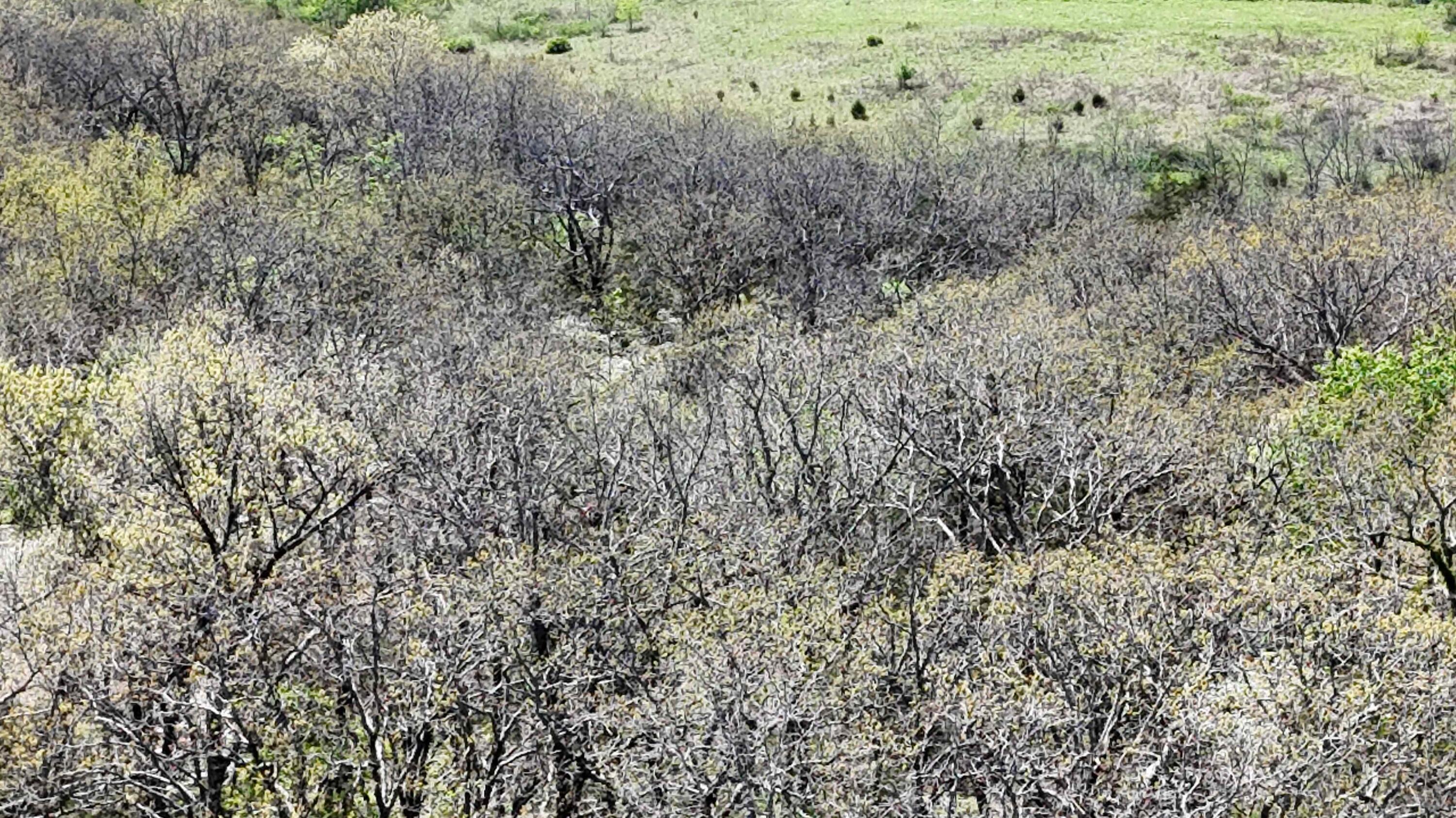 Photo 2 - Land for sale – Lot #2  Coral Fountains   Golden, MO