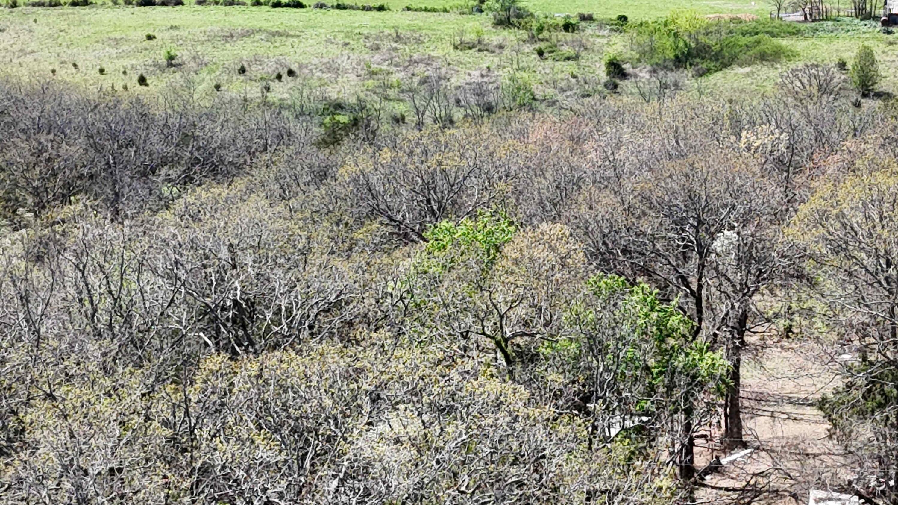 Photo 4 - Land for sale – Lot #2  Coral Fountains   Golden, MO
