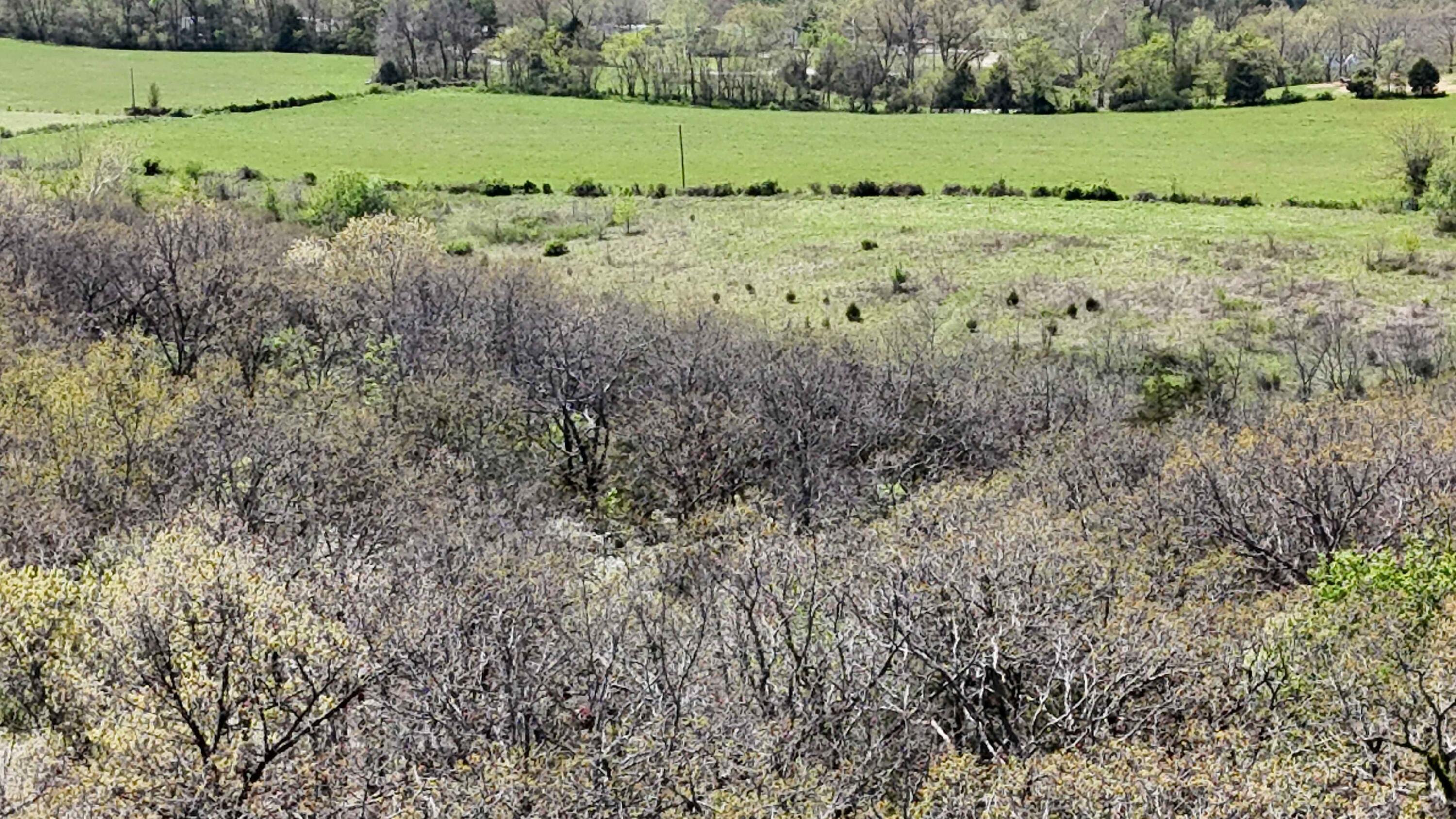 Land for sale – Lot #2  Coral Fountains   Golden, MO