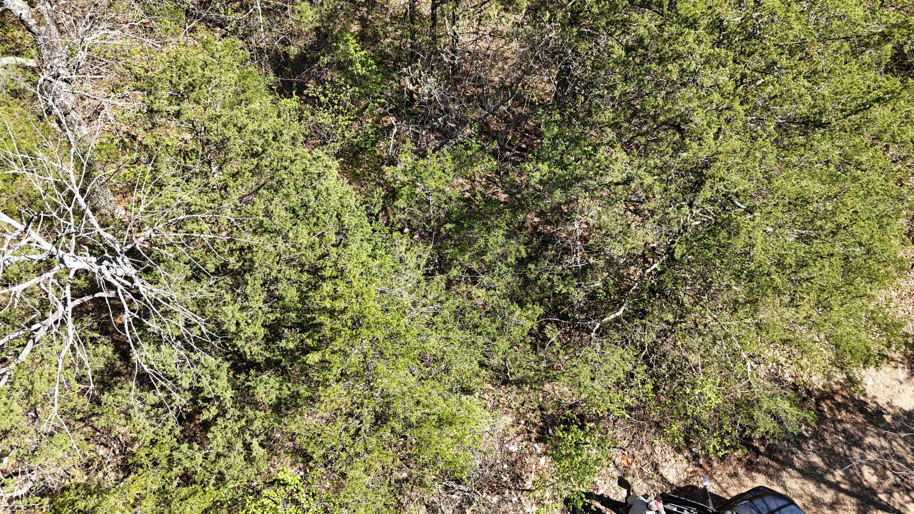 Photo 2 - Land for sale – Lot #20  Oak Lane   Shell Knob, MO