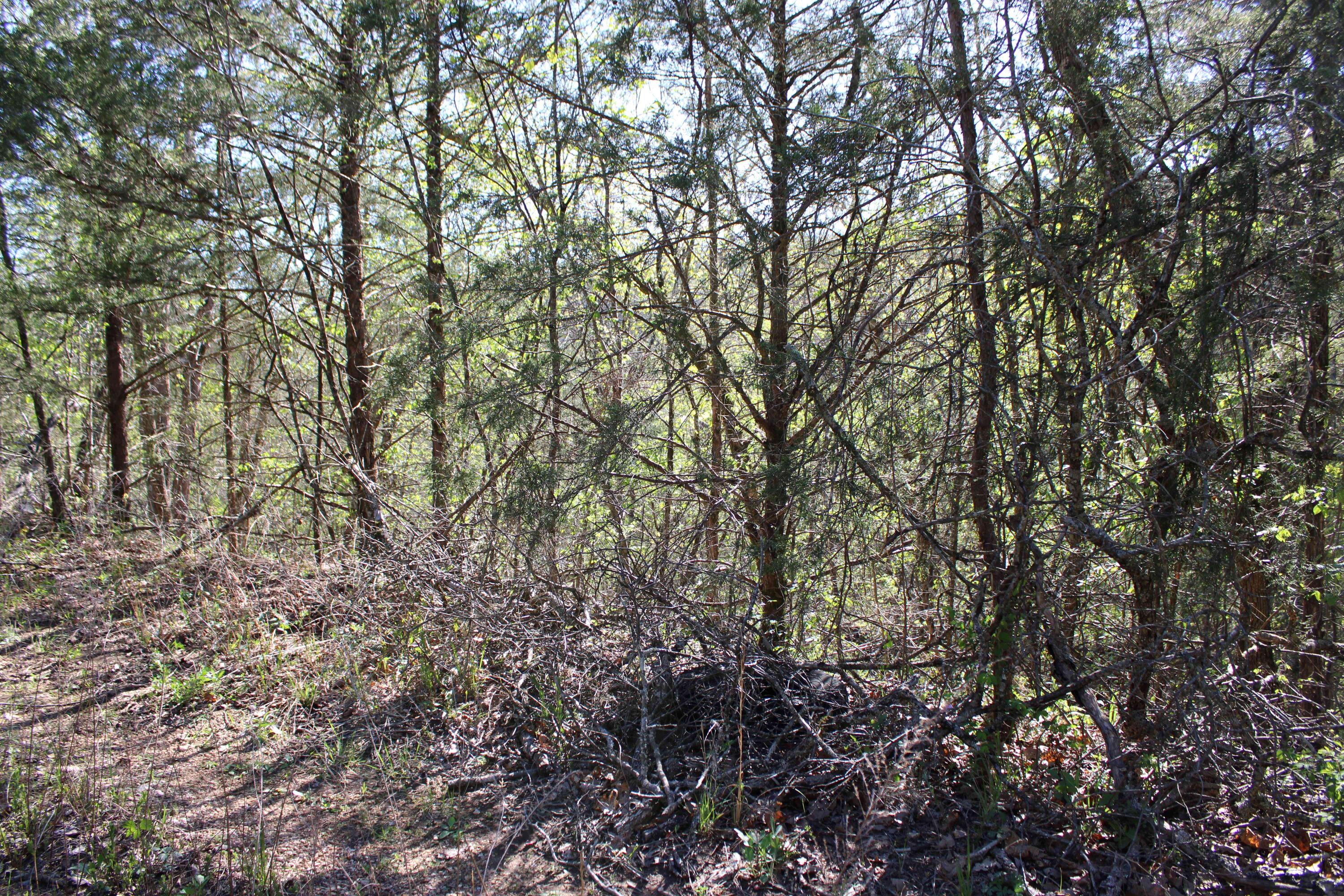 Photo 2 - Land for sale – Lot #25  Gumbo Woods   Shell Knob, MO