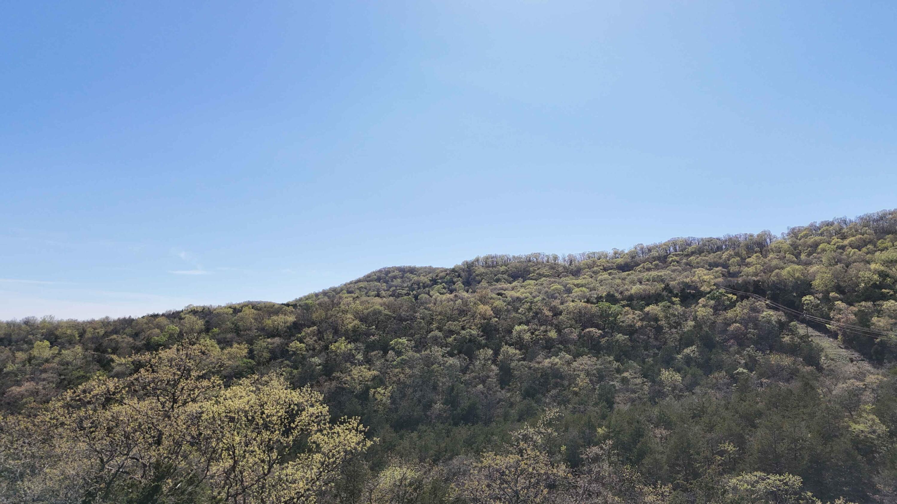 Photo 4 - Land for sale – Lot #46  Gumbo Woods   Shell Knob, MO