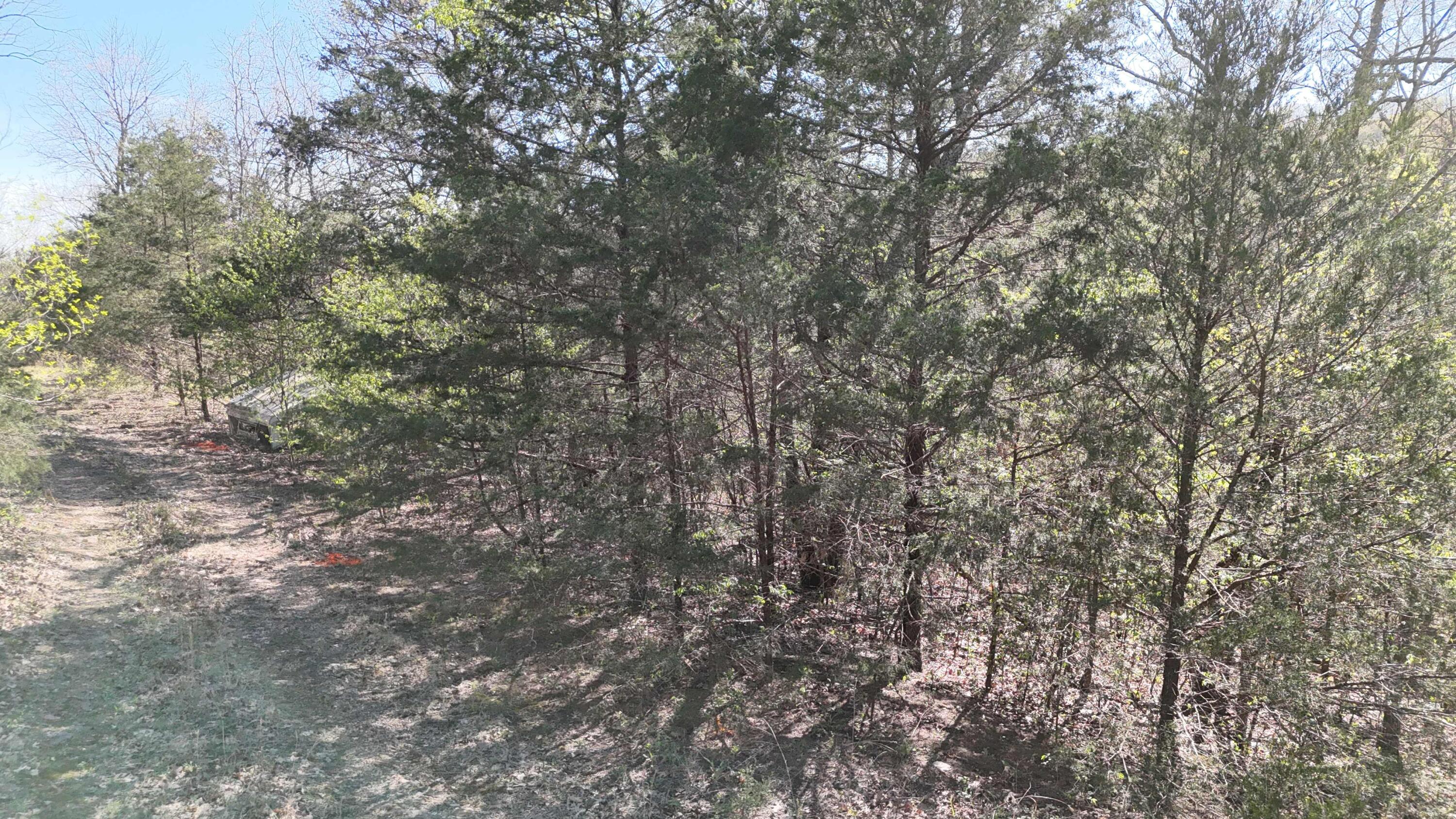 Photo 5 - Land for sale – Lot #94  Gumbo Woods   Shell Knob, MO