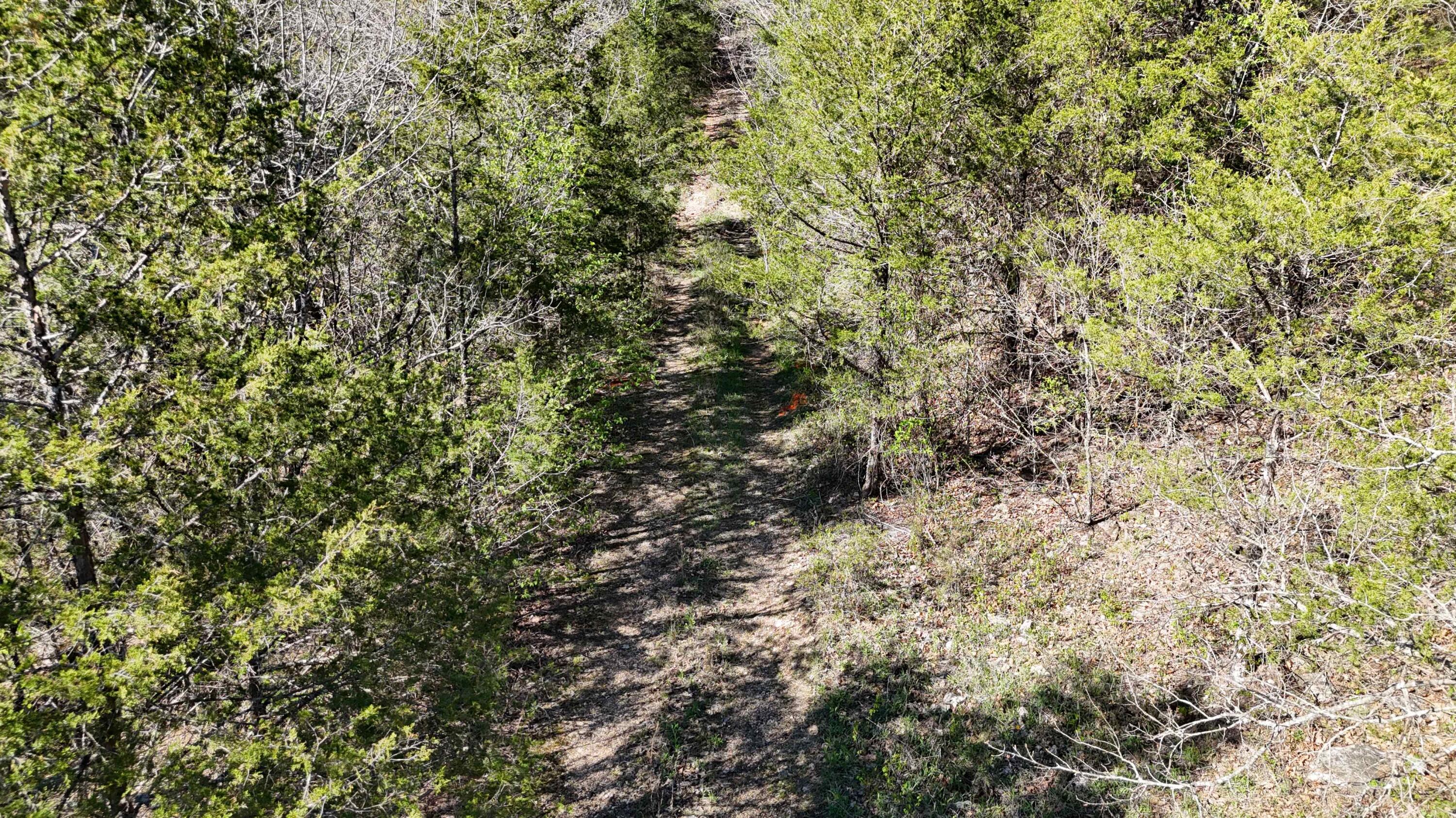 Photo 9 - Land for sale – Lot #94  Gumbo Woods   Shell Knob, MO