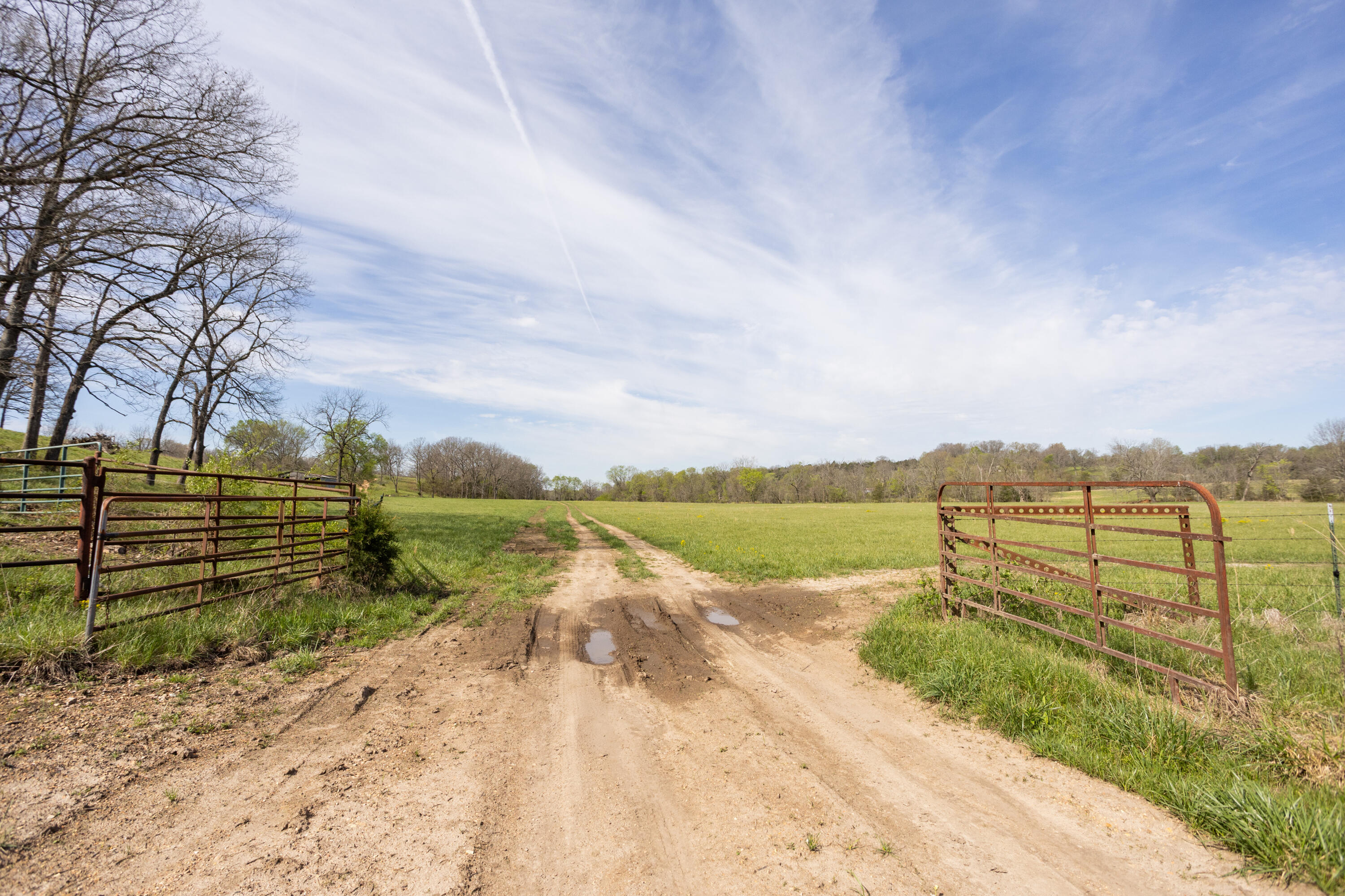 Photo 32 - Land for sale – 9795  Co Rd W 76-506 Road  Ava, MO