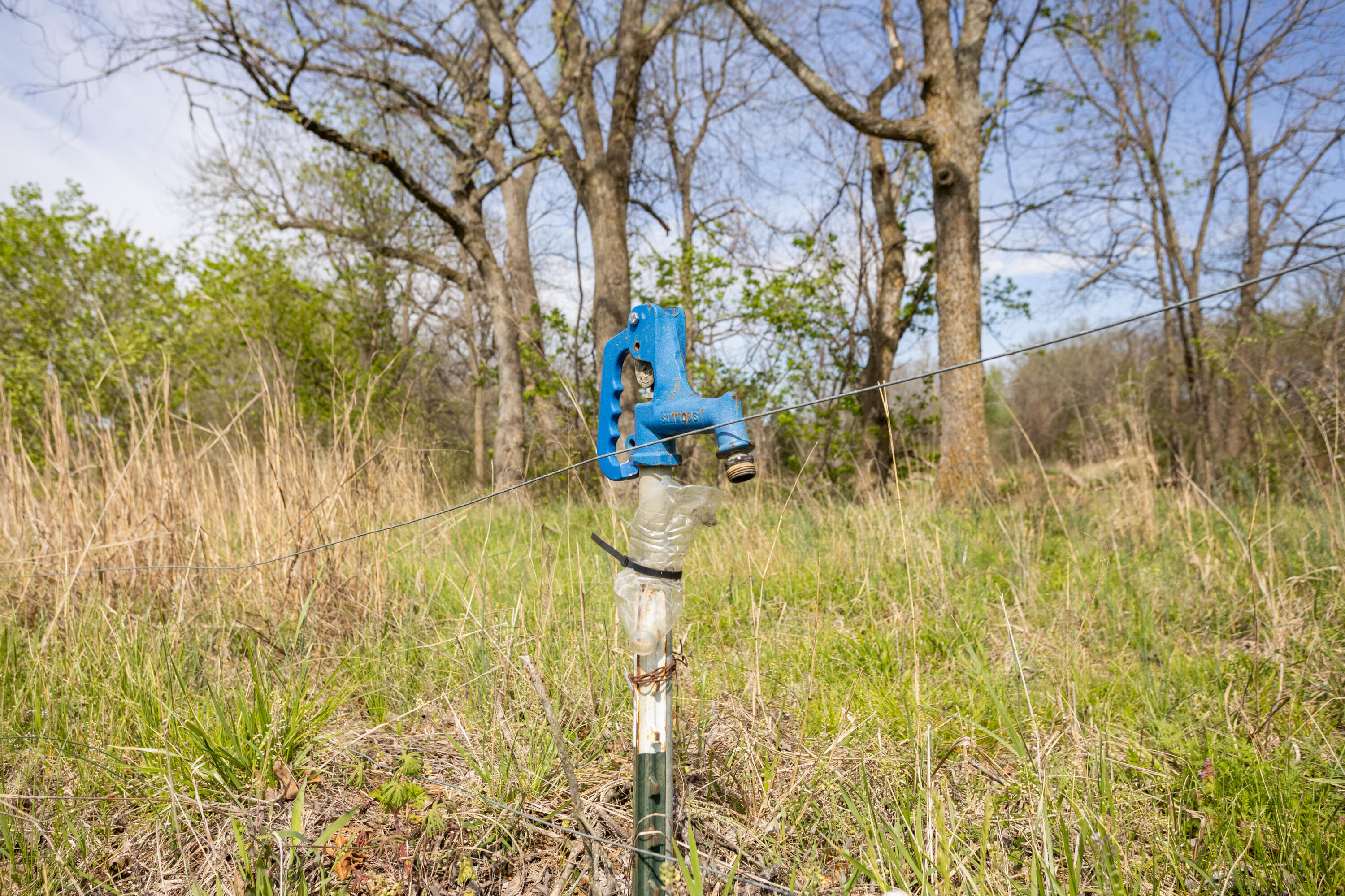 Photo 63 - Land for sale – 9795  Co Rd W 76-506 Road  Ava, MO