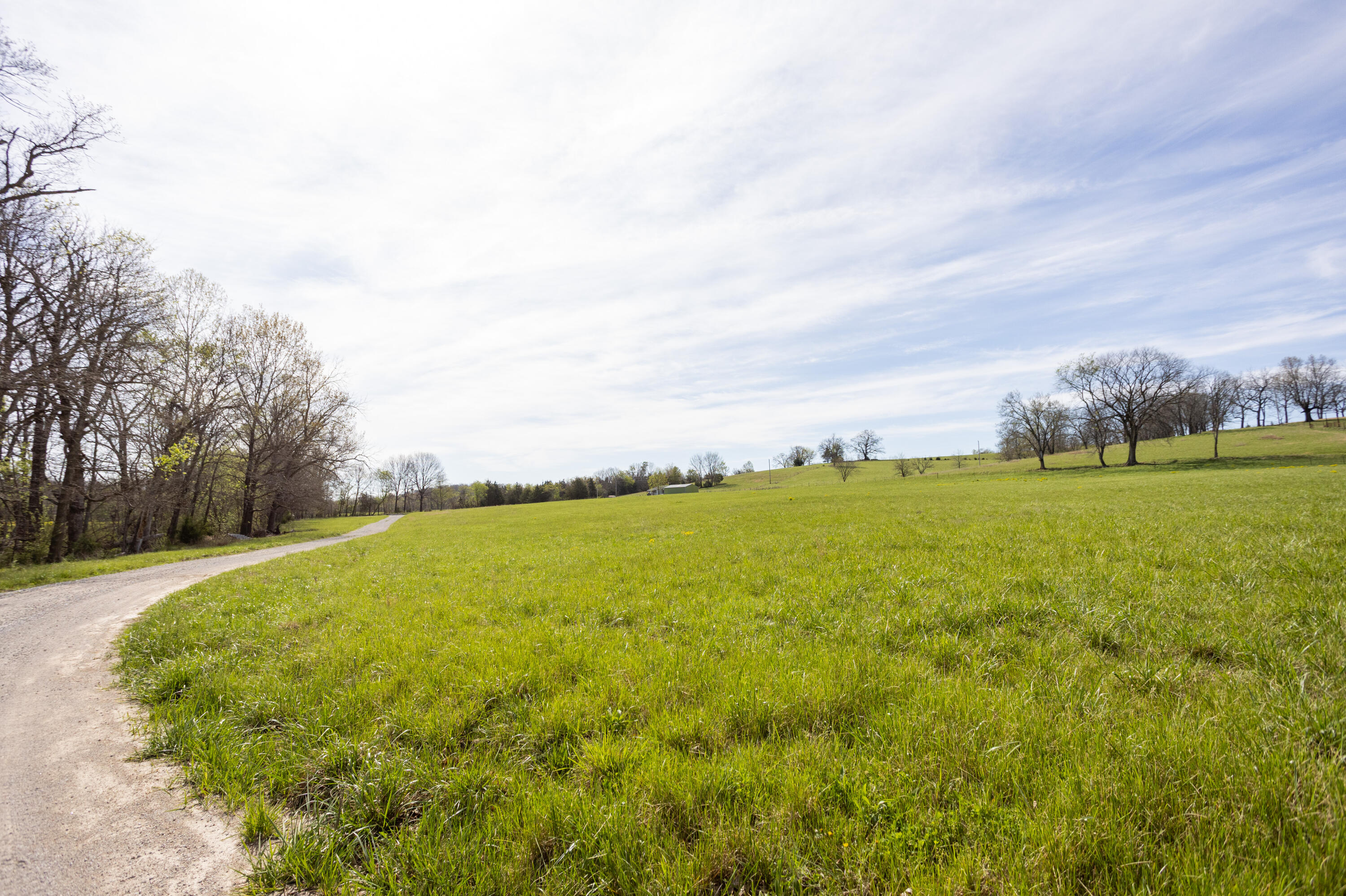 Photo 56 - Land for sale – 9795  Co Rd W 76-506 Road  Ava, MO