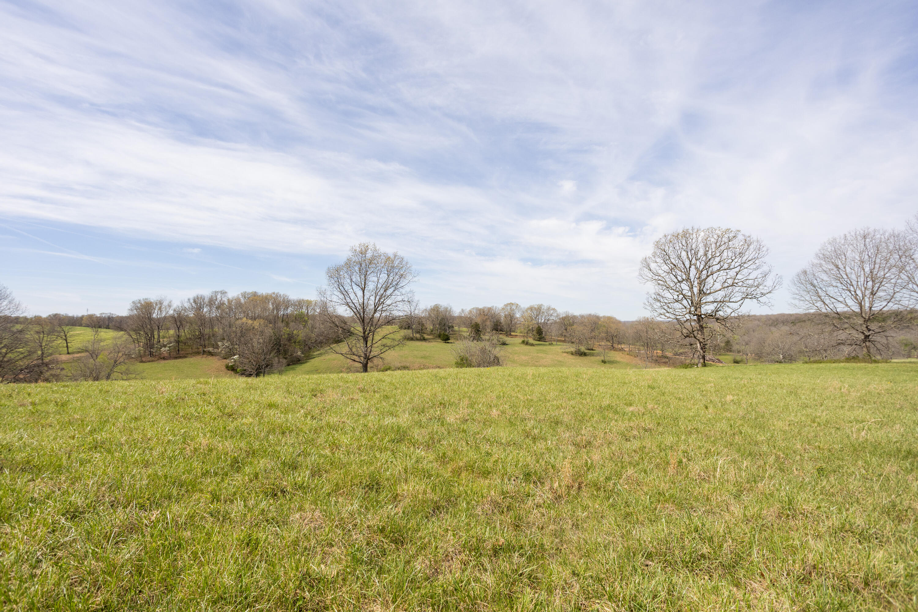 Photo 54 - Land for sale – 9795  Co Rd W 76-506 Road  Ava, MO