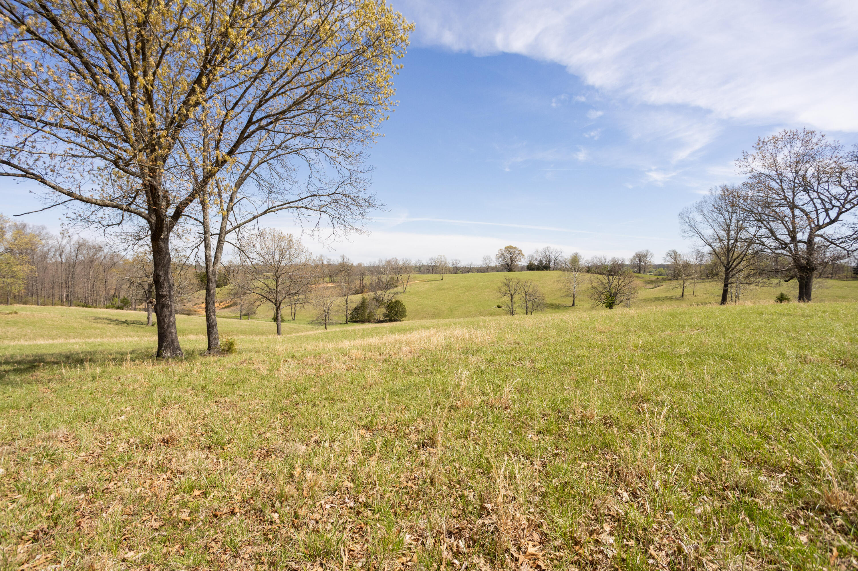 Photo 77 - Land for sale – 9795  Co Rd W 76-506 Road  Ava, MO