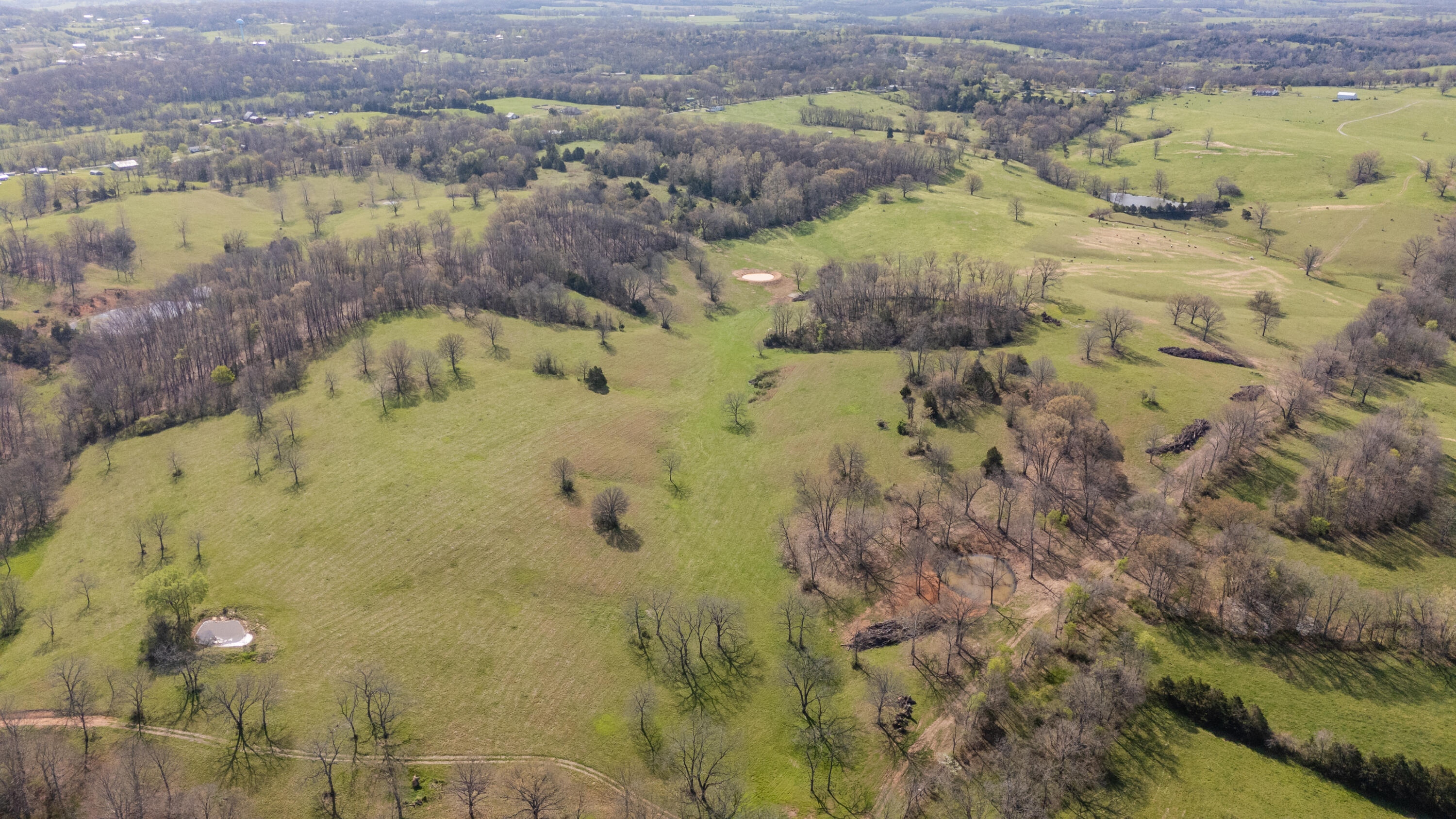 Photo 81 - Land for sale – 9795  Co Rd W 76-506 Road  Ava, MO
