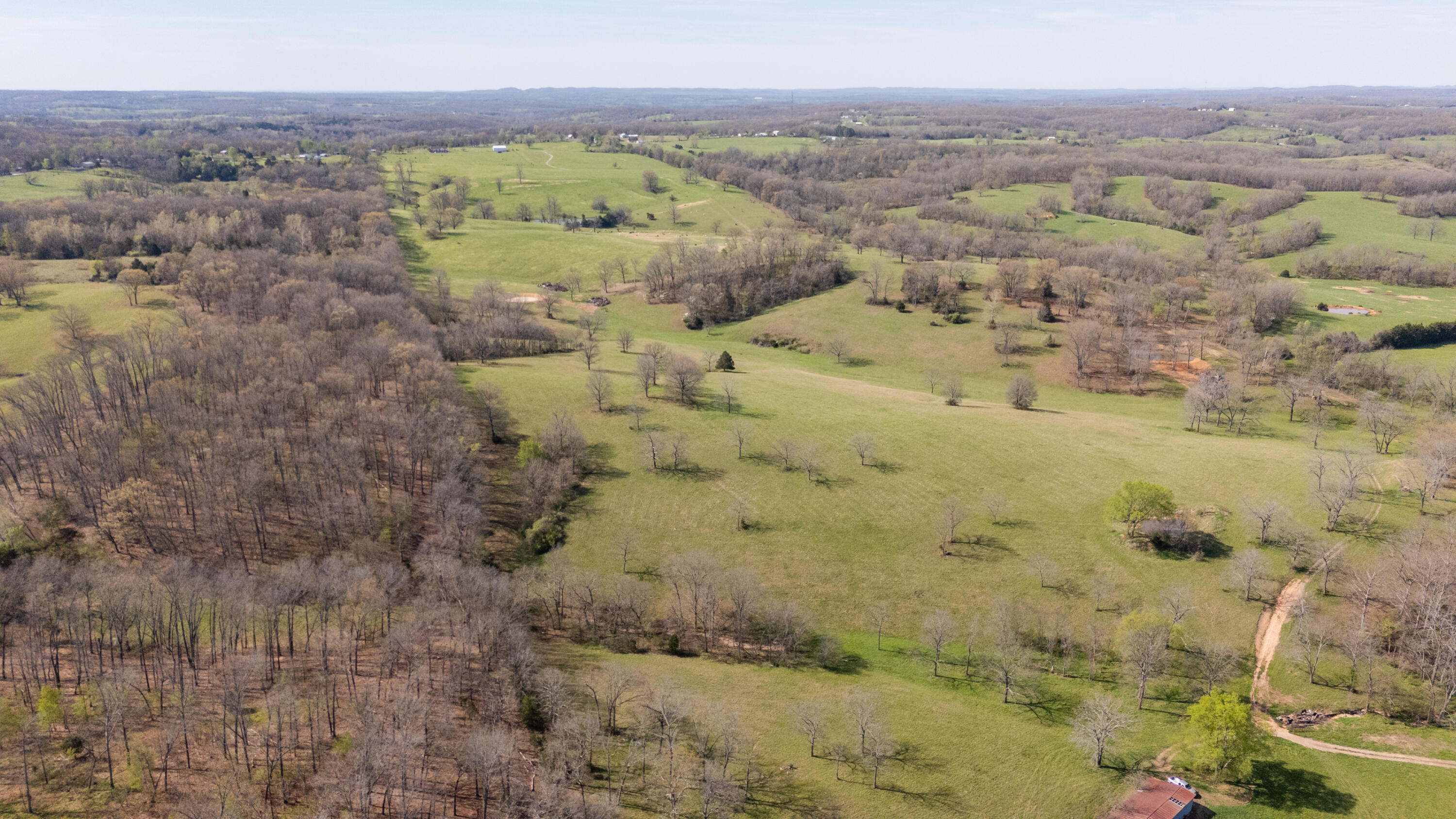 Photo 59 - Land for sale – 9795  Co Rd W 76-506 Road  Ava, MO