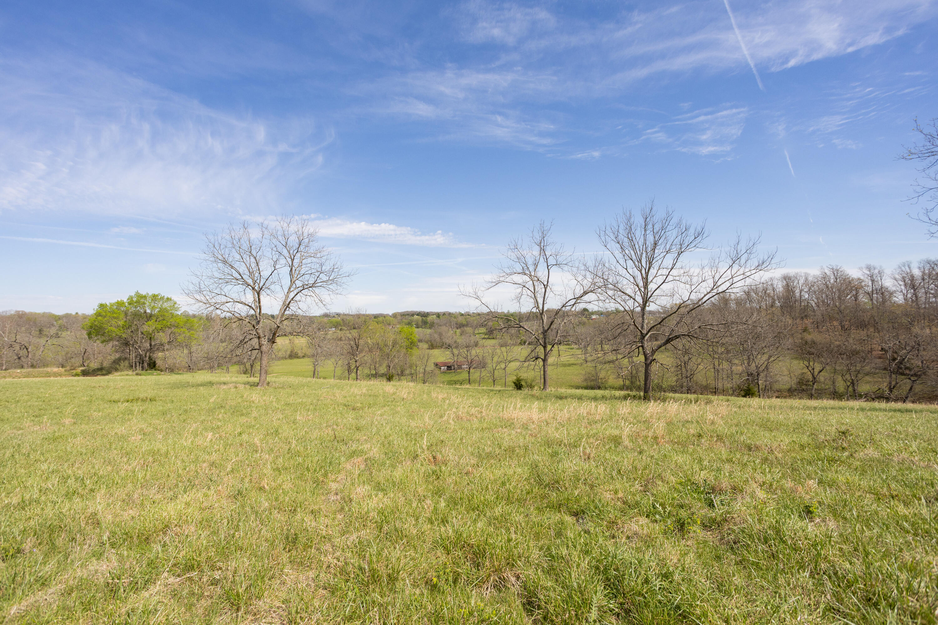 Photo 40 - Land for sale – 9795  Co Rd W 76-506 Road  Ava, MO