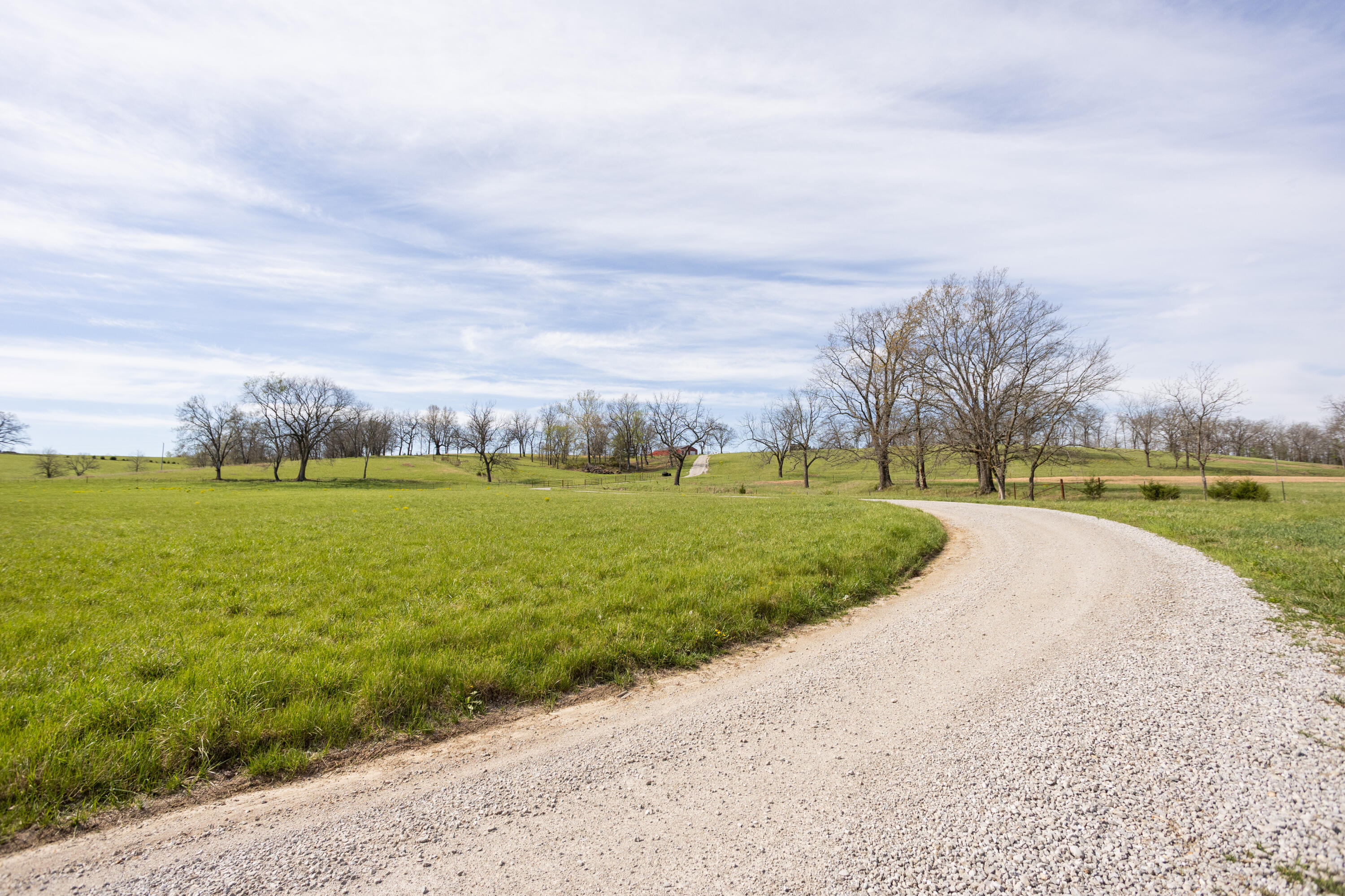 Photo 2 - Land for sale – 9795  Co Rd W 76-506 Road  Ava, MO