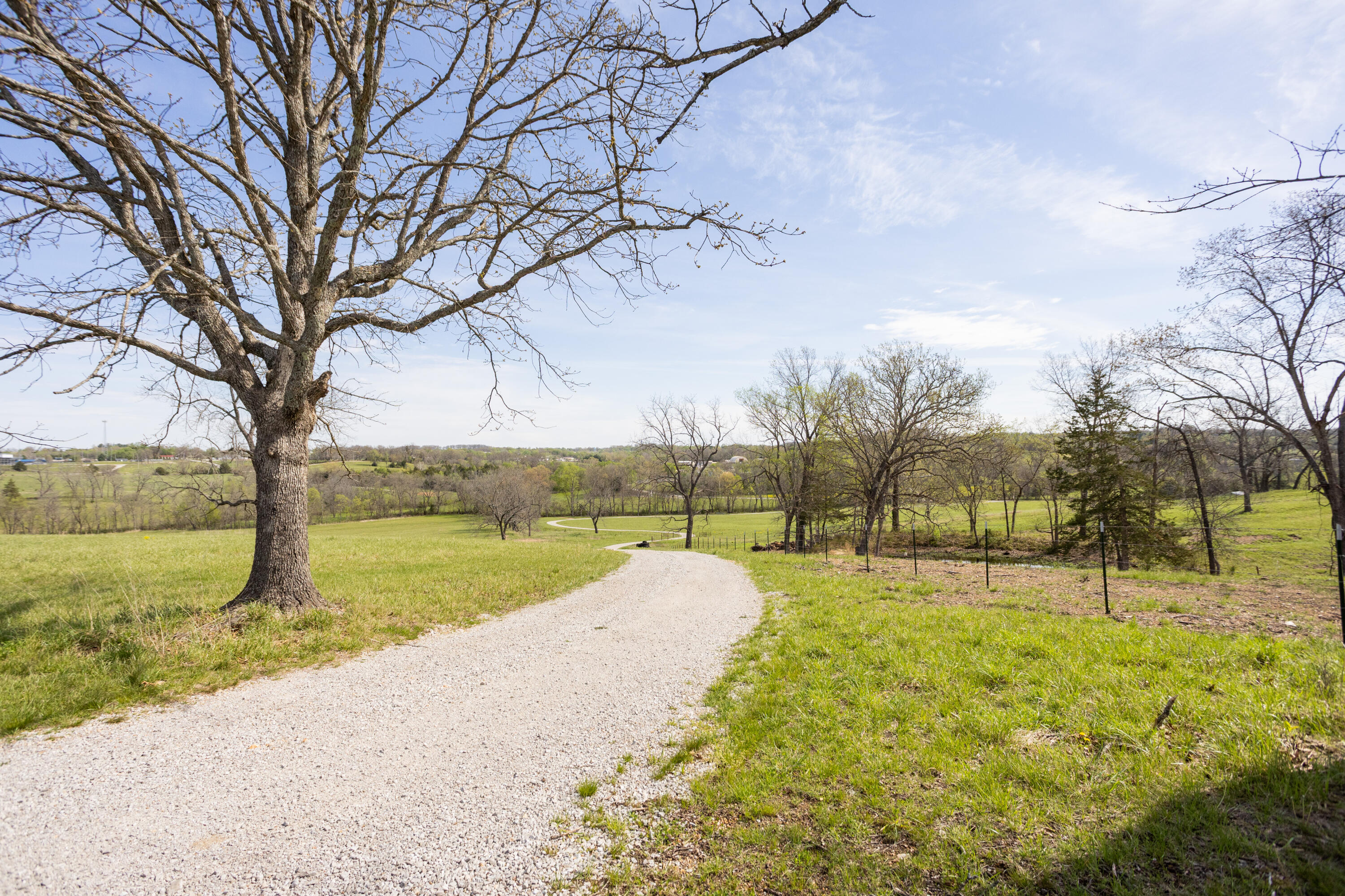 Photo 31 - Land for sale – 9795  Co Rd W 76-506 Road  Ava, MO