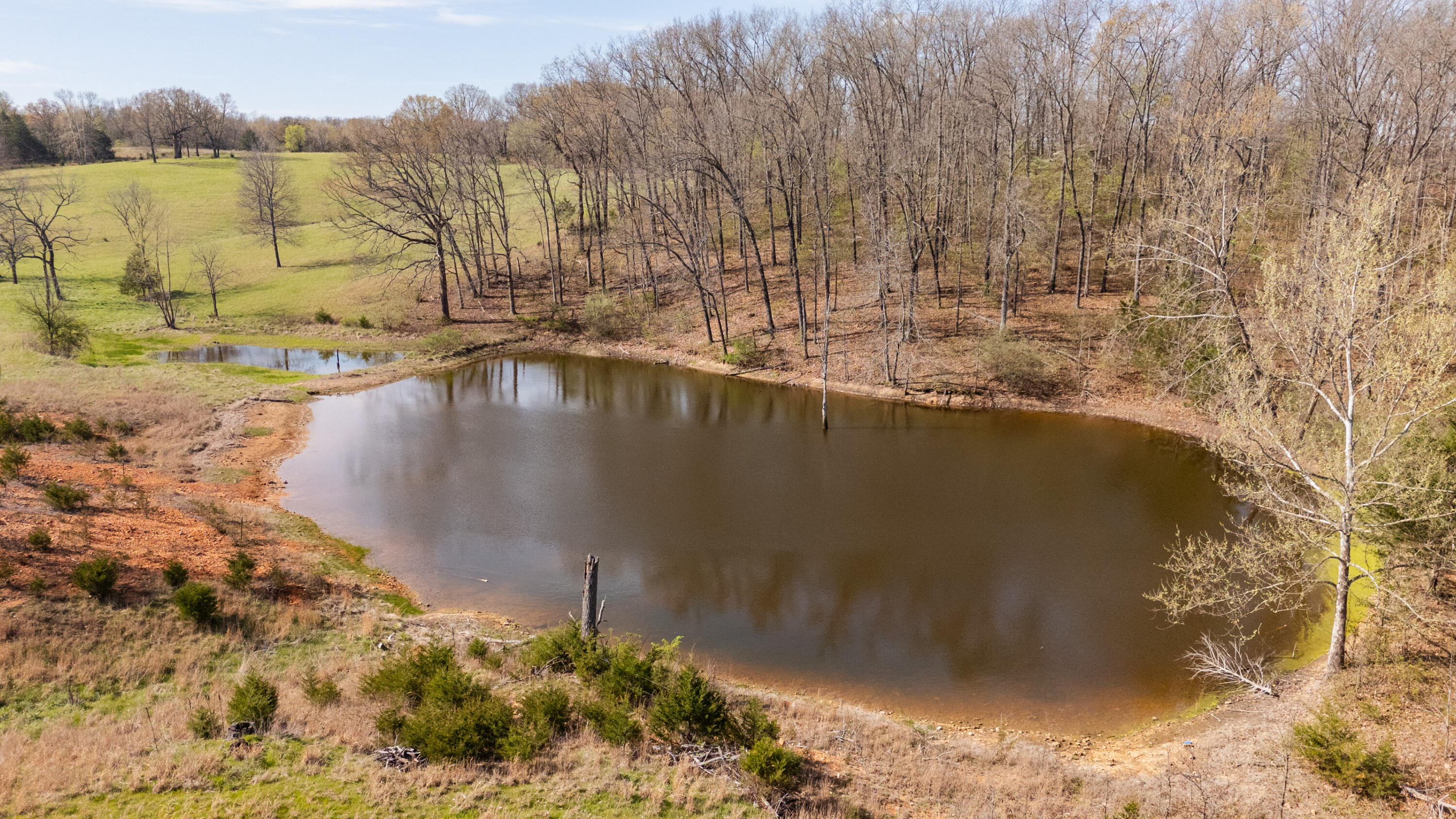 Photo 43 - Land for sale – 9795  Co Rd W 76-506 Road  Ava, MO