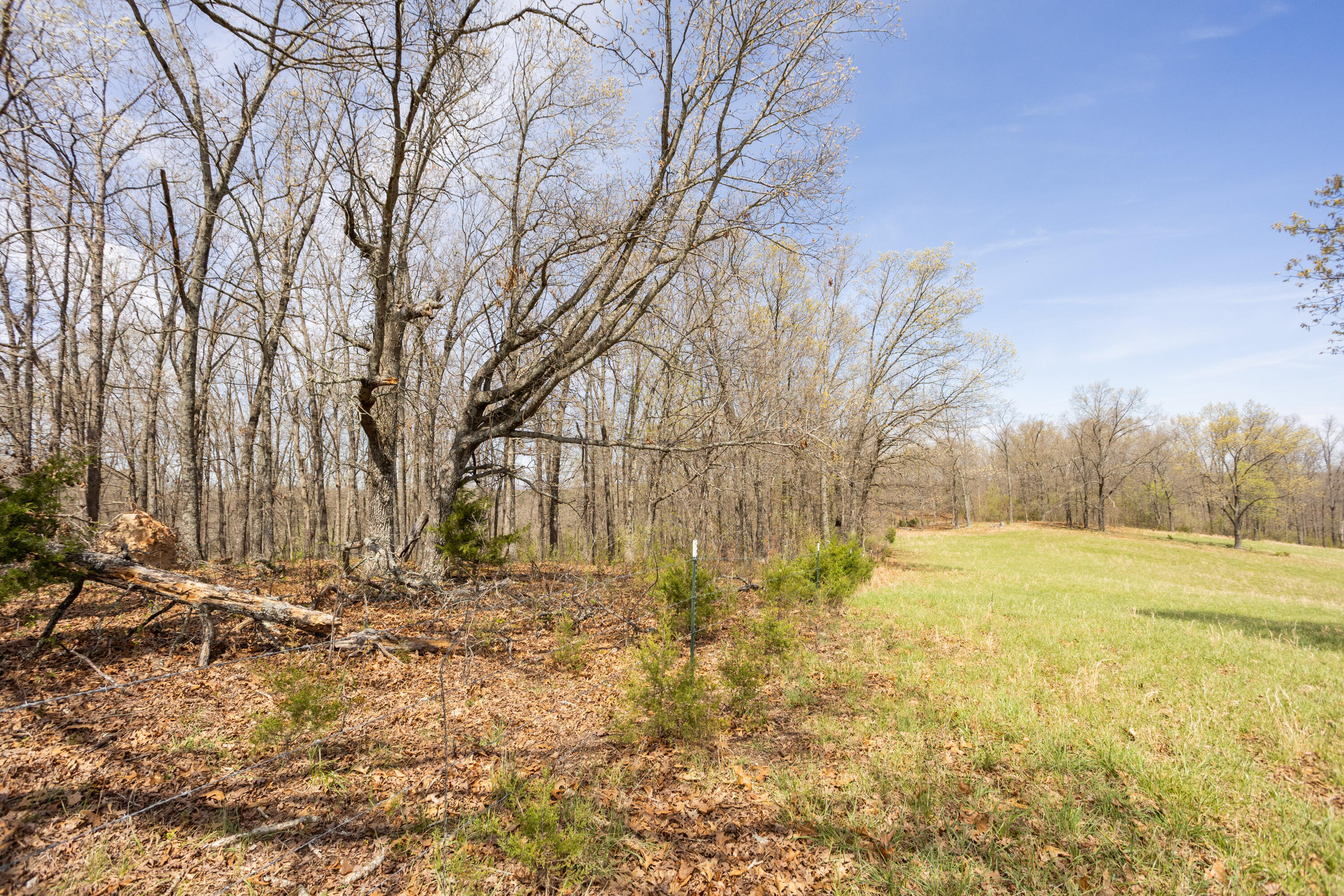 Photo 74 - Land for sale – 9795  Co Rd W 76-506 Road  Ava, MO