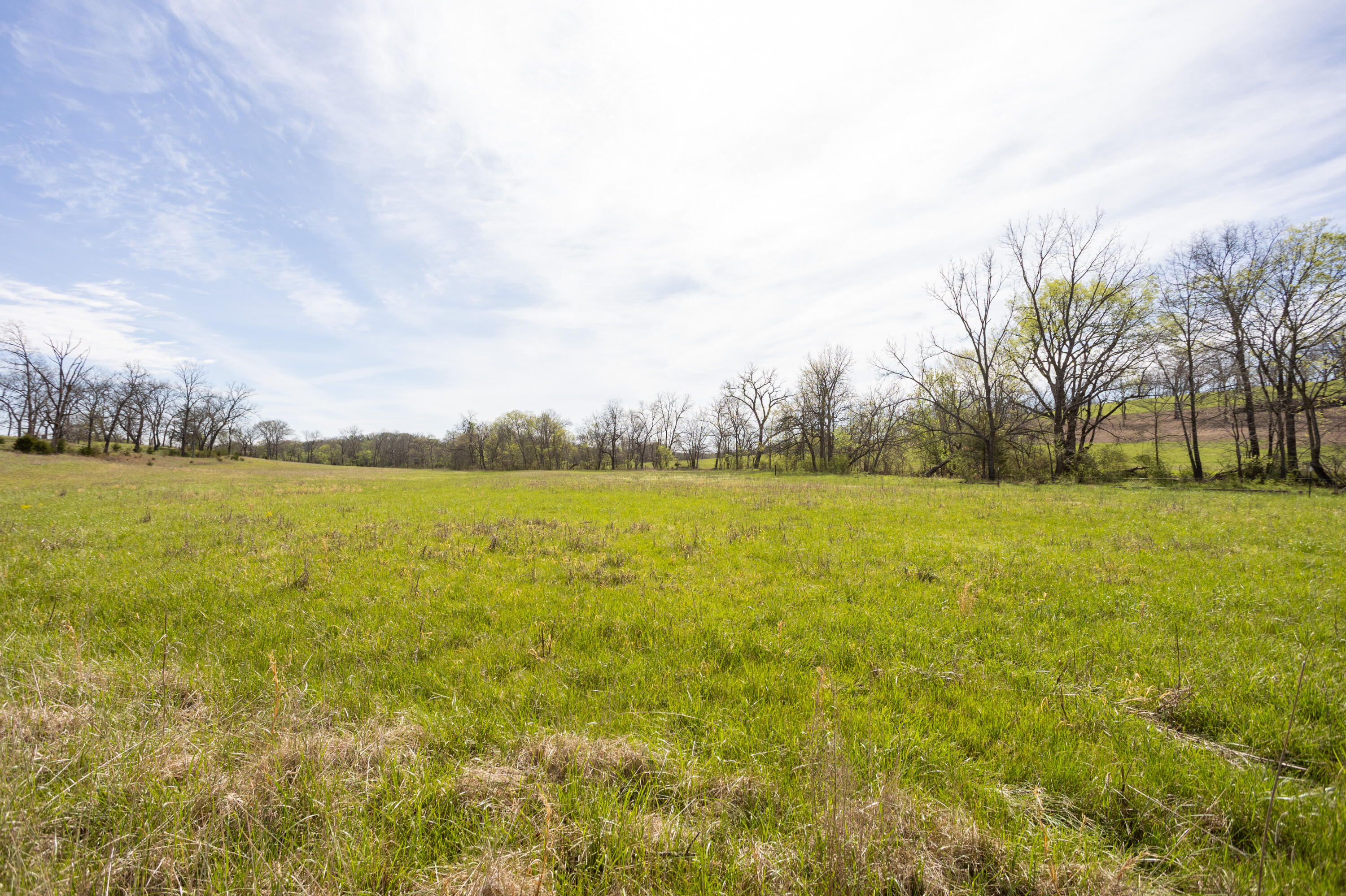 Photo 91 - Land for sale – 9795  Co Rd W 76-506 Road  Ava, MO