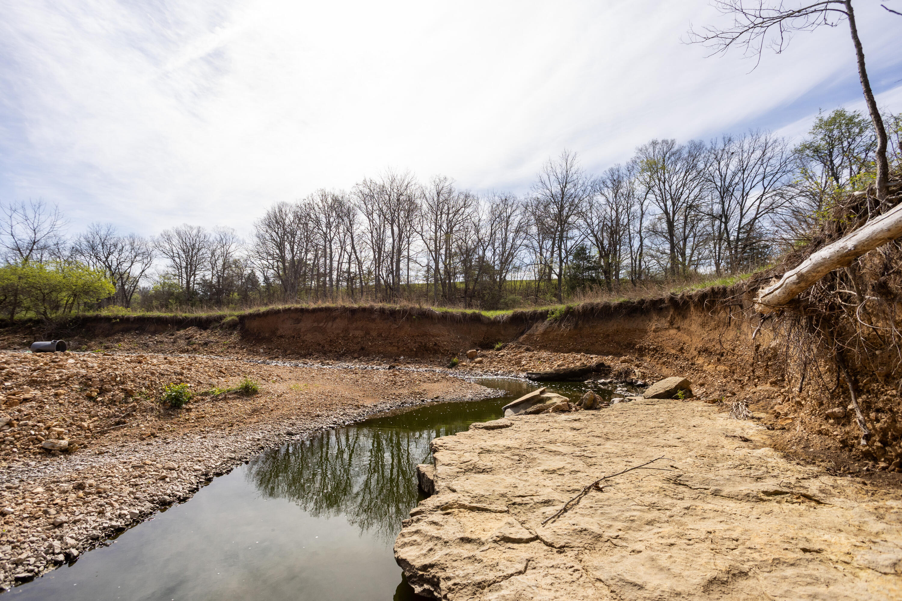 Photo 27 - Land for sale – 9795  Co Rd W 76-506 Road  Ava, MO