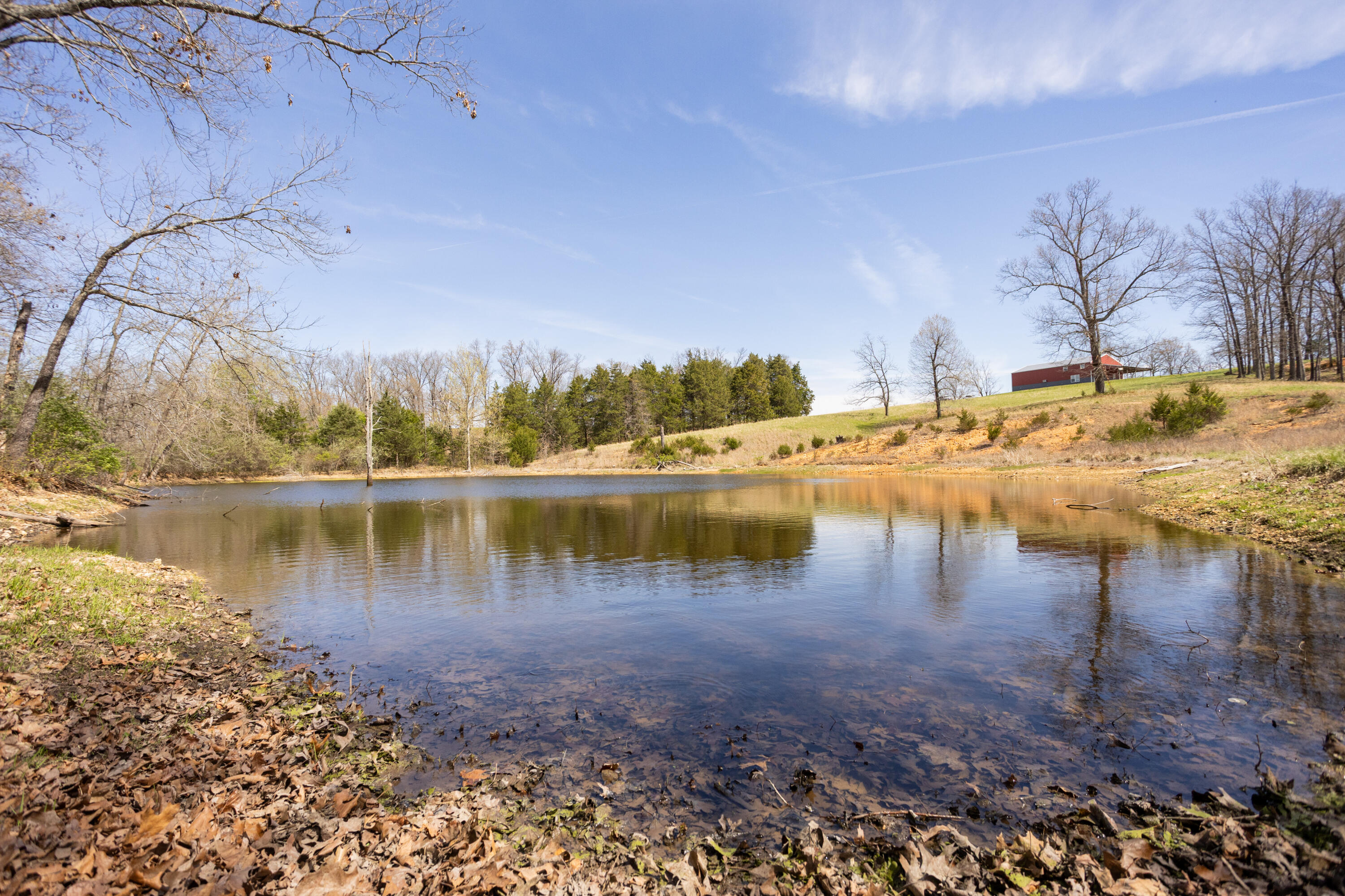 Photo 52 - Land for sale – 9795  Co Rd W 76-506 Road  Ava, MO