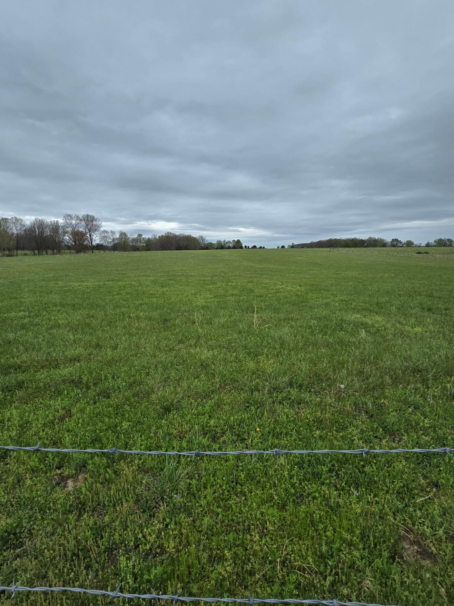 Land for sale – 000 Adams Lane Rogersville, MO