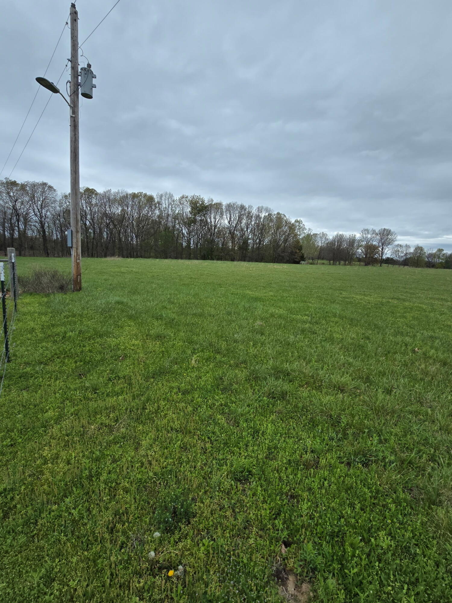 Photo 4 - Land for sale – 000  Adams Lane   Rogersville, MO