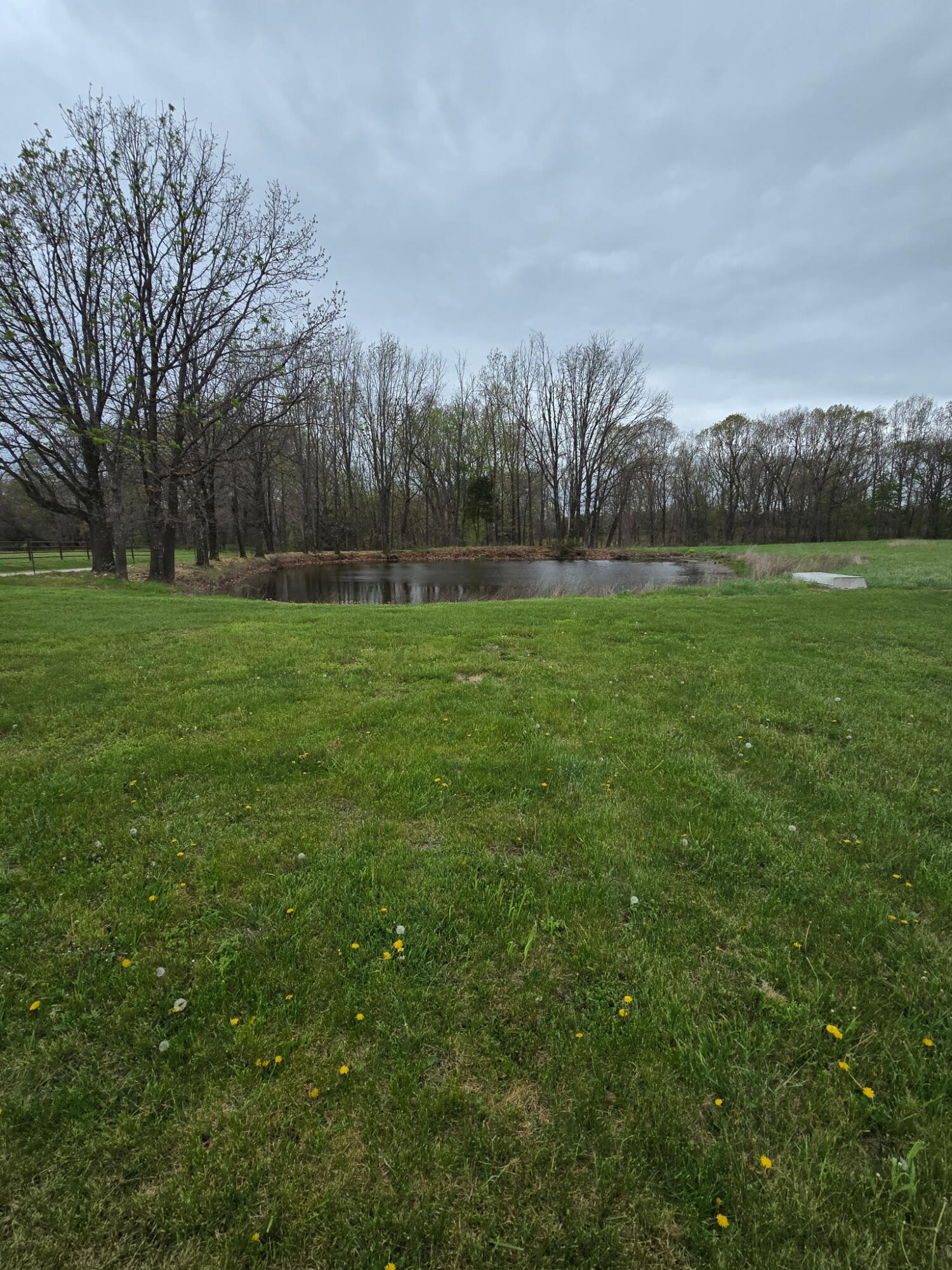 Photo 5 - Land for sale – 000  Adams Lane   Rogersville, MO