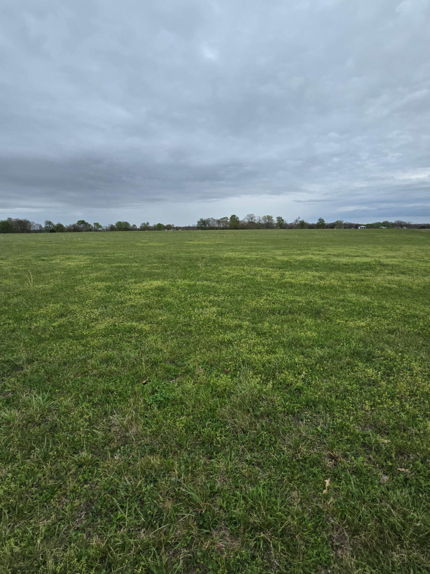 Photo 3 - Land for sale – 000  Adams Lane   Rogersville, MO