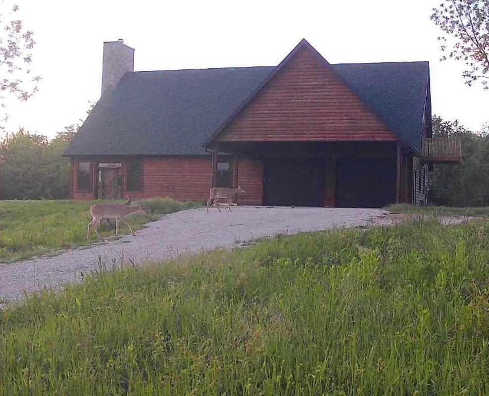 Photo 71 - Residential for sale – 503 A  Airport Road  Crane, MO
