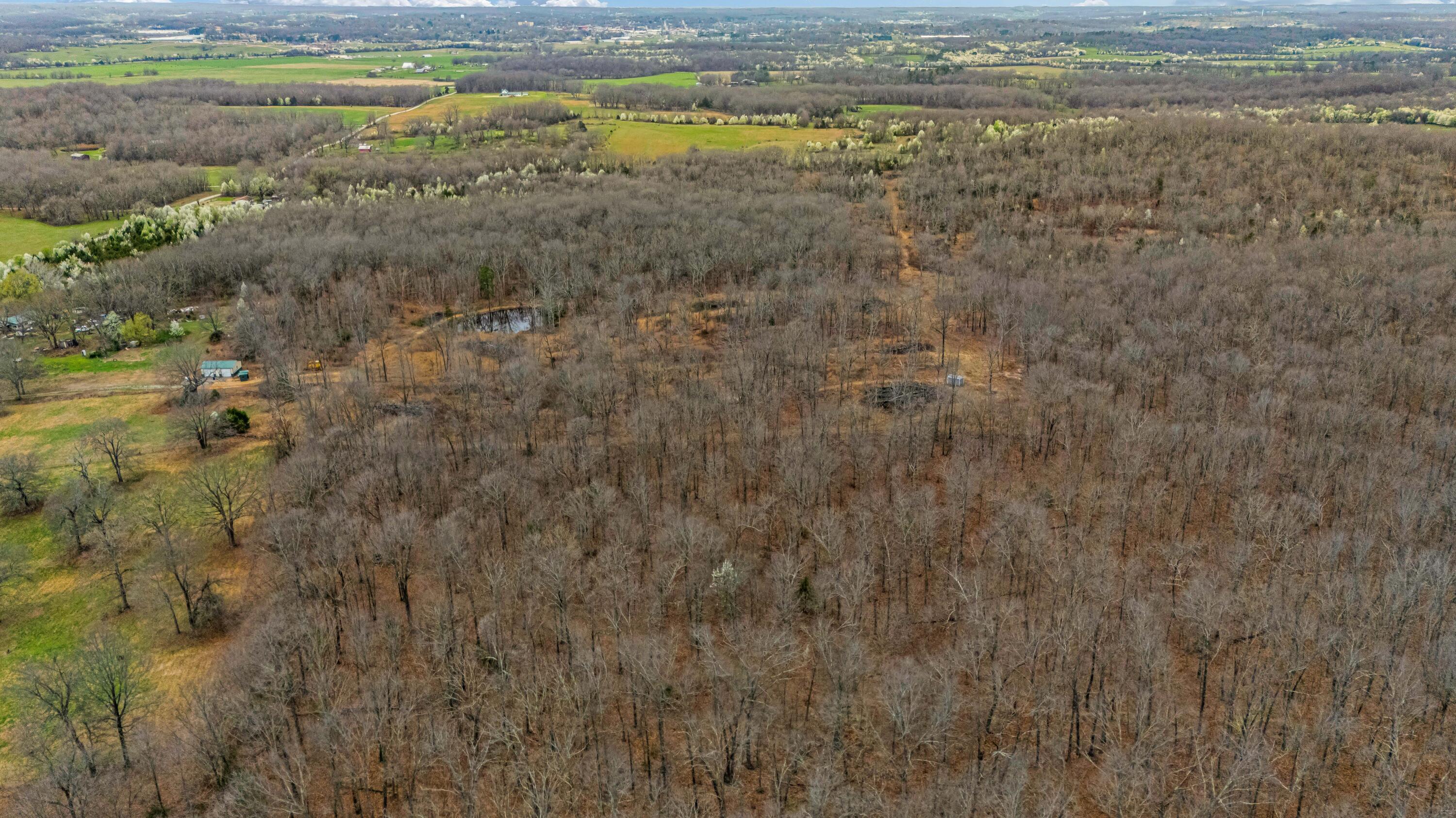 Photo 12 - Land for sale – 0003  County Road 8200   West Plains, MO