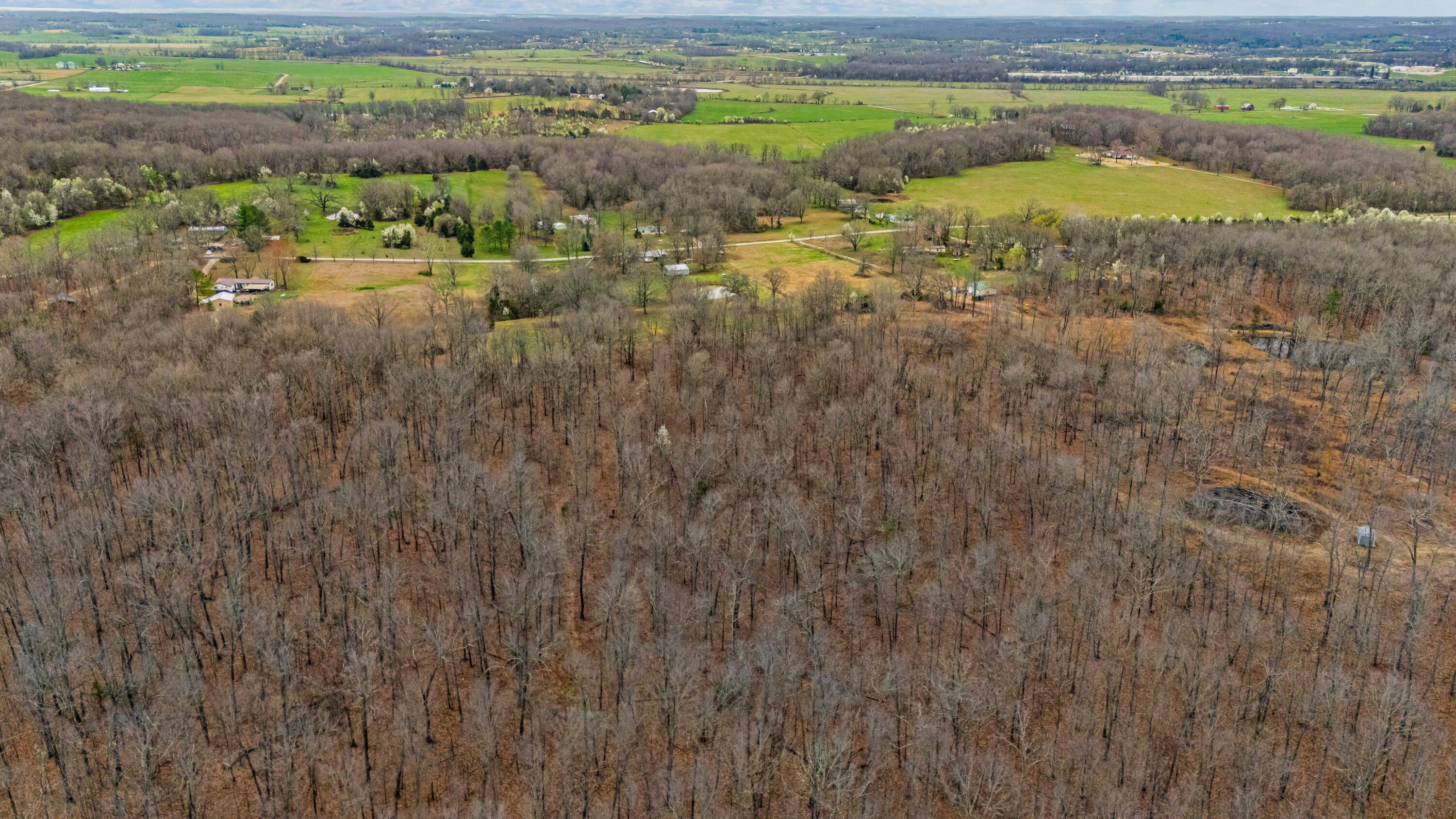 Photo 8 - Land for sale – 0003  County Road 8200   West Plains, MO