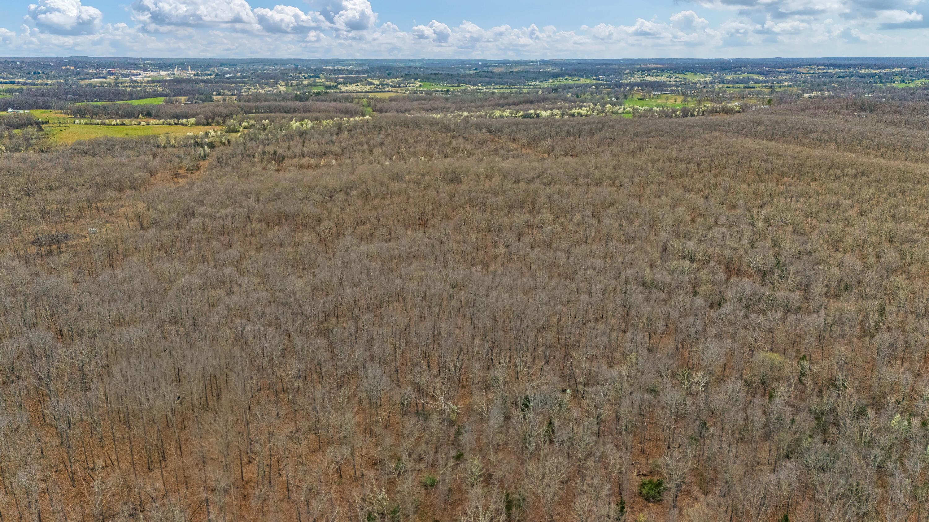 Photo 5 - Land for sale – 0003  County Road 8200   West Plains, MO