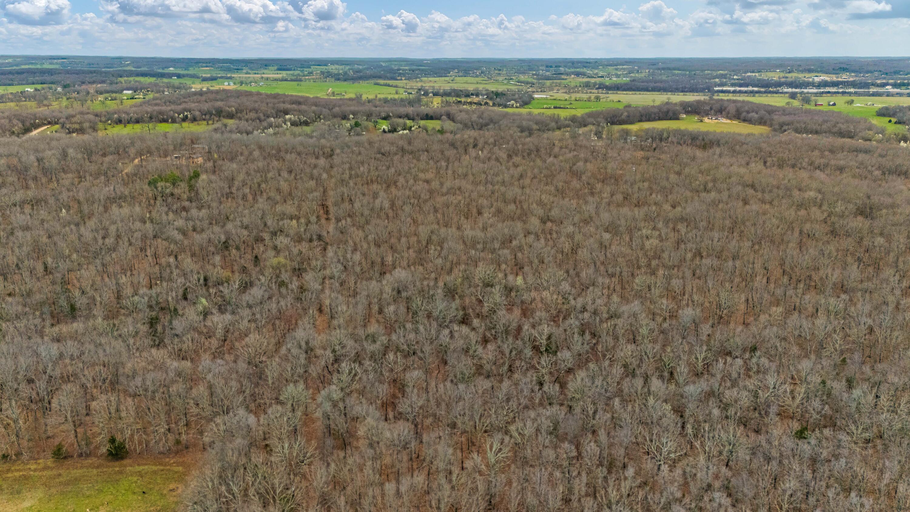 Photo 7 - Land for sale – 0003  County Road 8200   West Plains, MO
