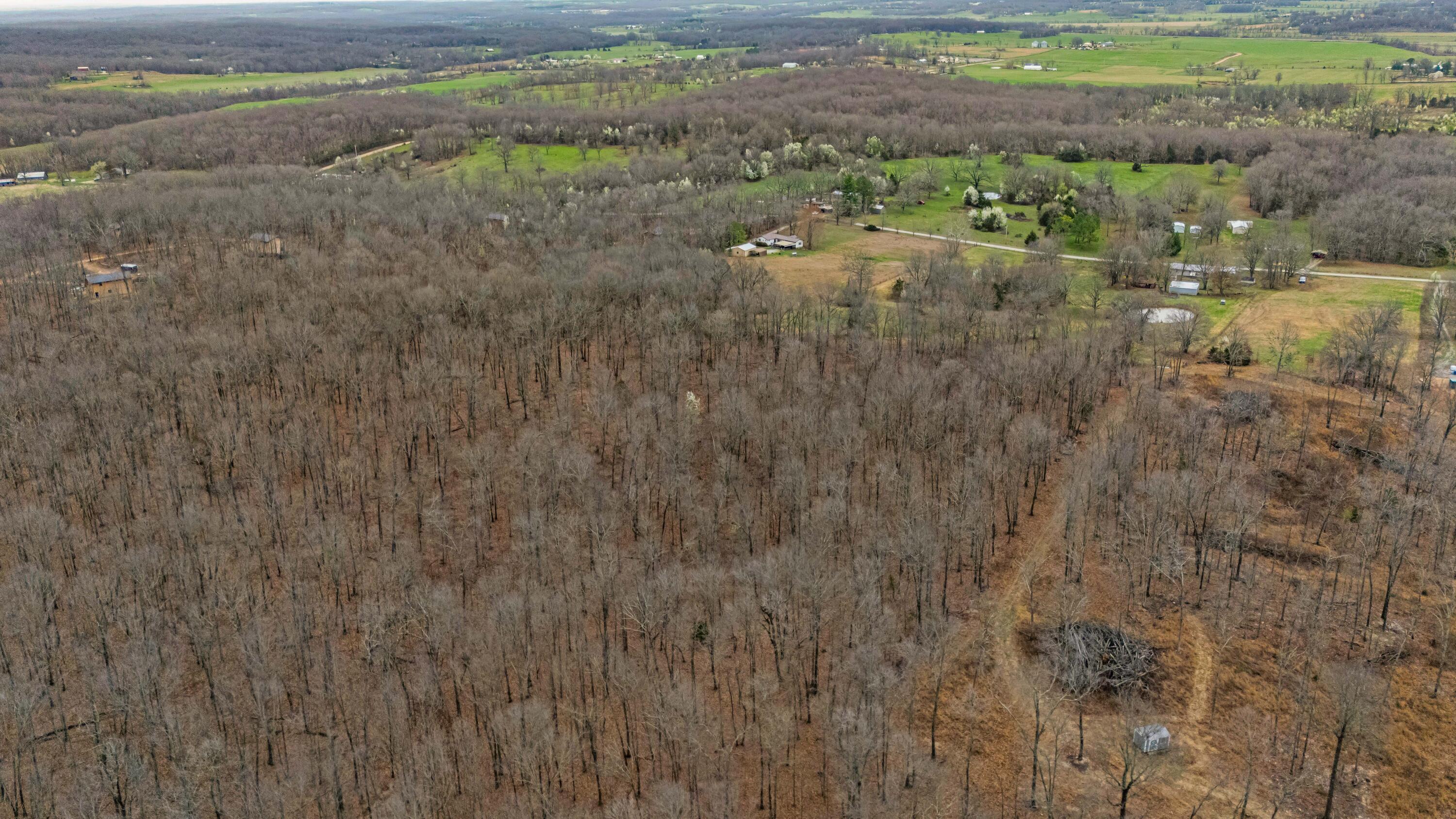 Photo 9 - Land for sale – 0003  County Road 8200   West Plains, MO