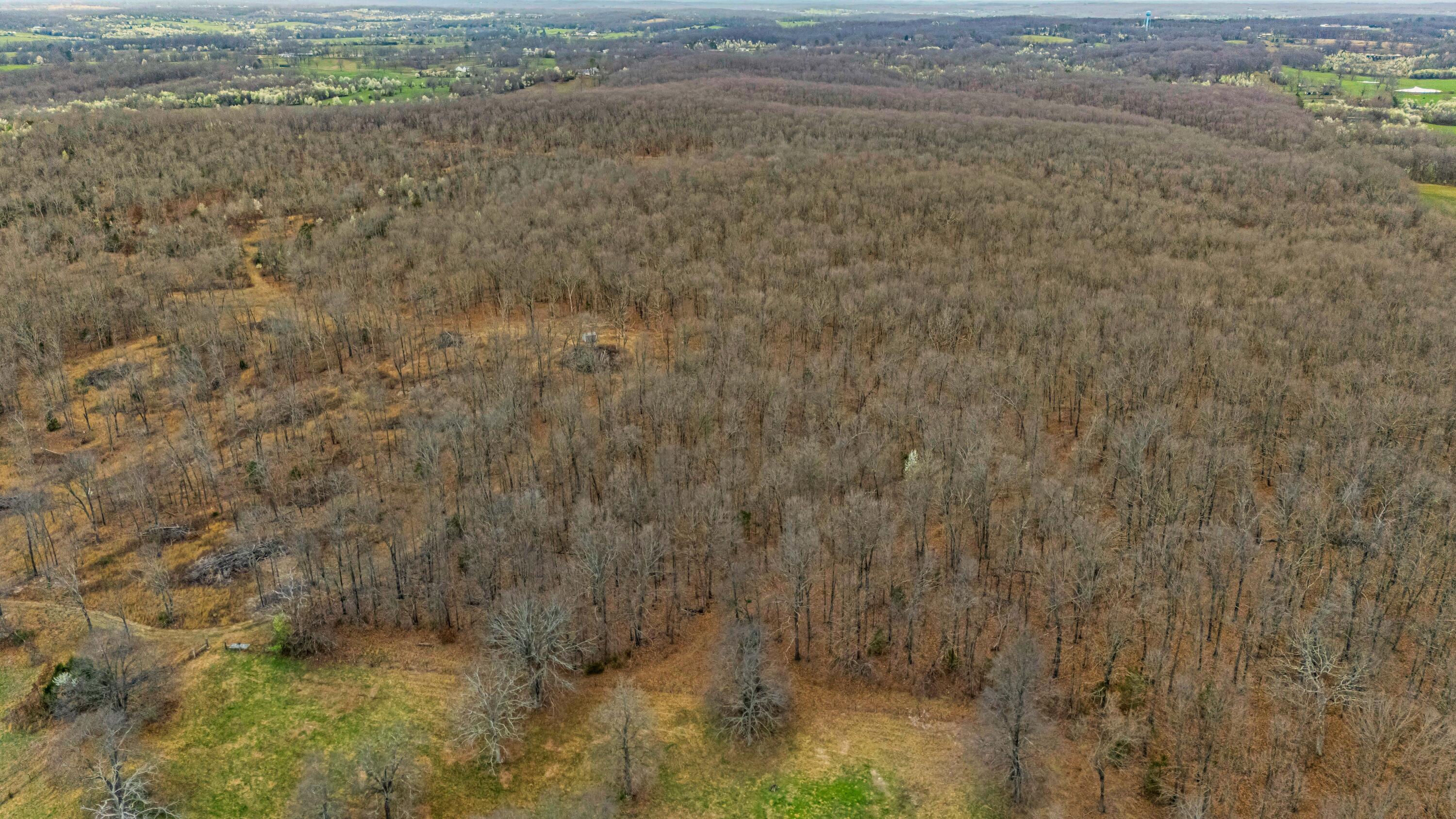 Photo 11 - Land for sale – 0003  County Road 8200   West Plains, MO