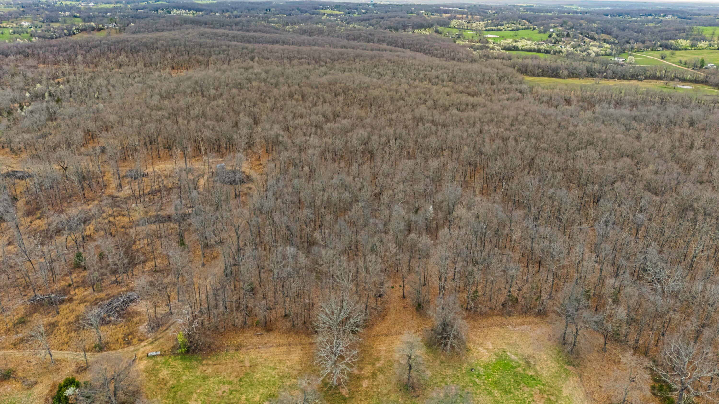 Photo 10 - Land for sale – 0003  County Road 8200   West Plains, MO