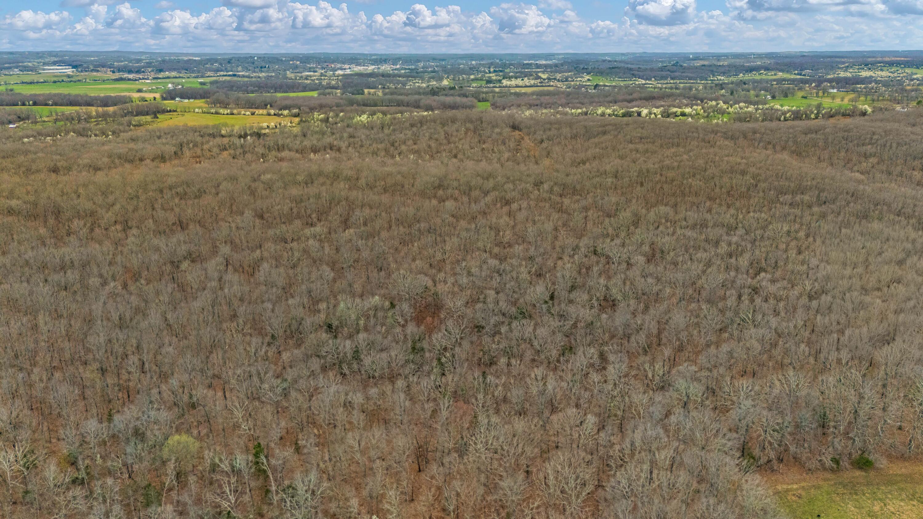 Photo 6 - Land for sale – 0003  County Road 8200   West Plains, MO