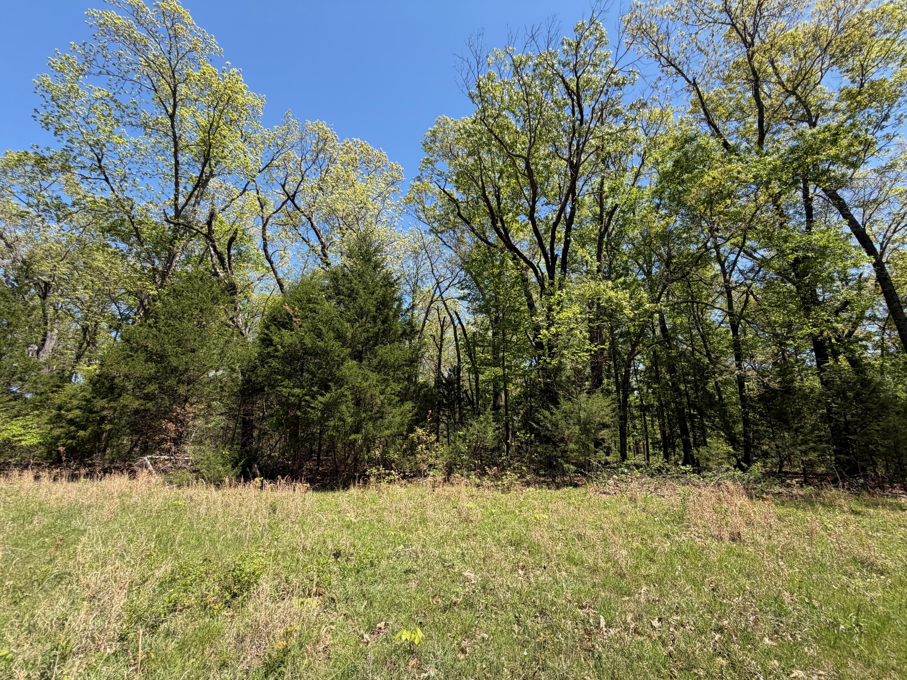 Photo 6 - Land for sale – 000  Corner Road  Rogersville, MO