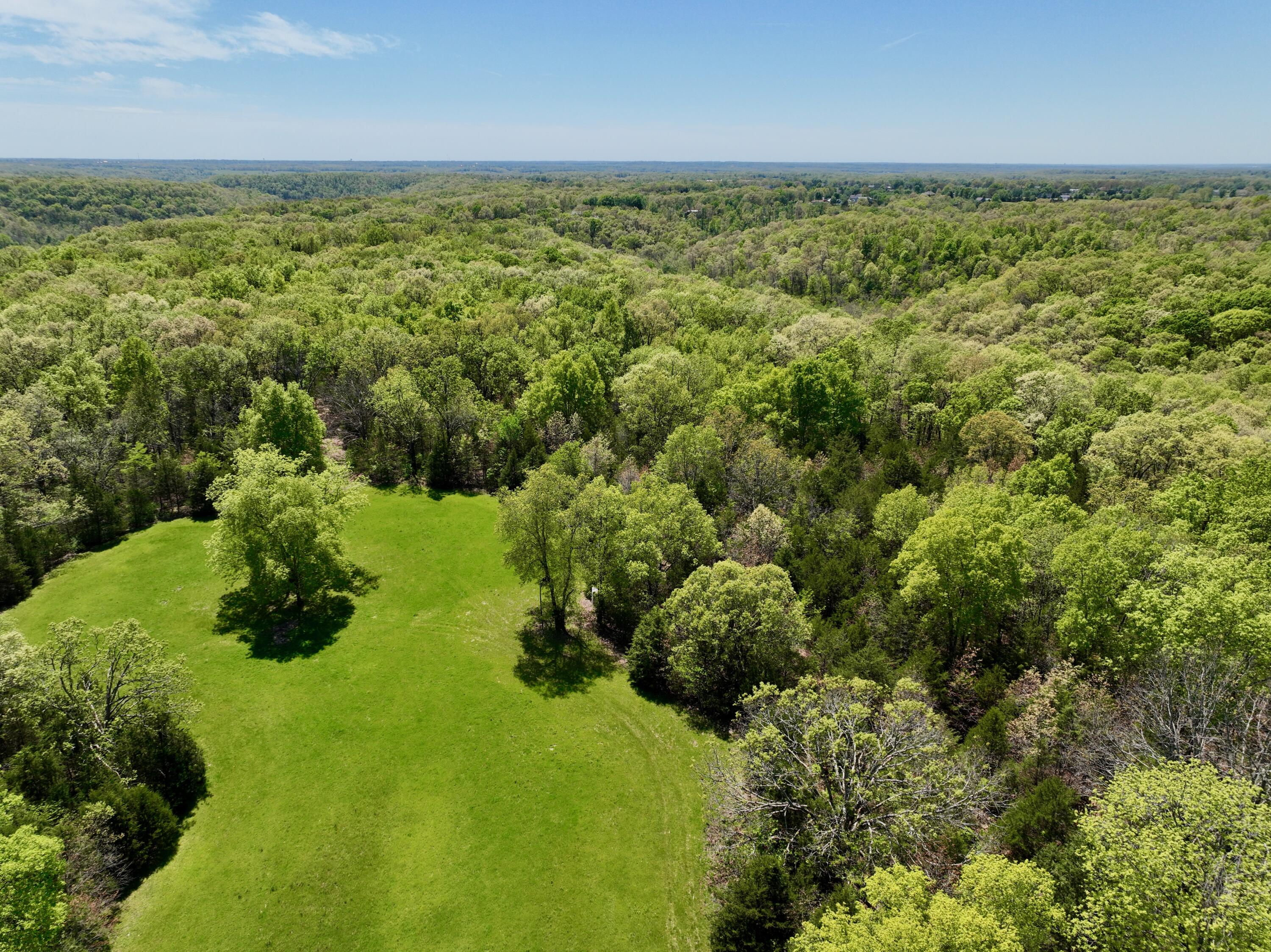 Photo 16 - Land for sale – 000  Corner Road  Rogersville, MO