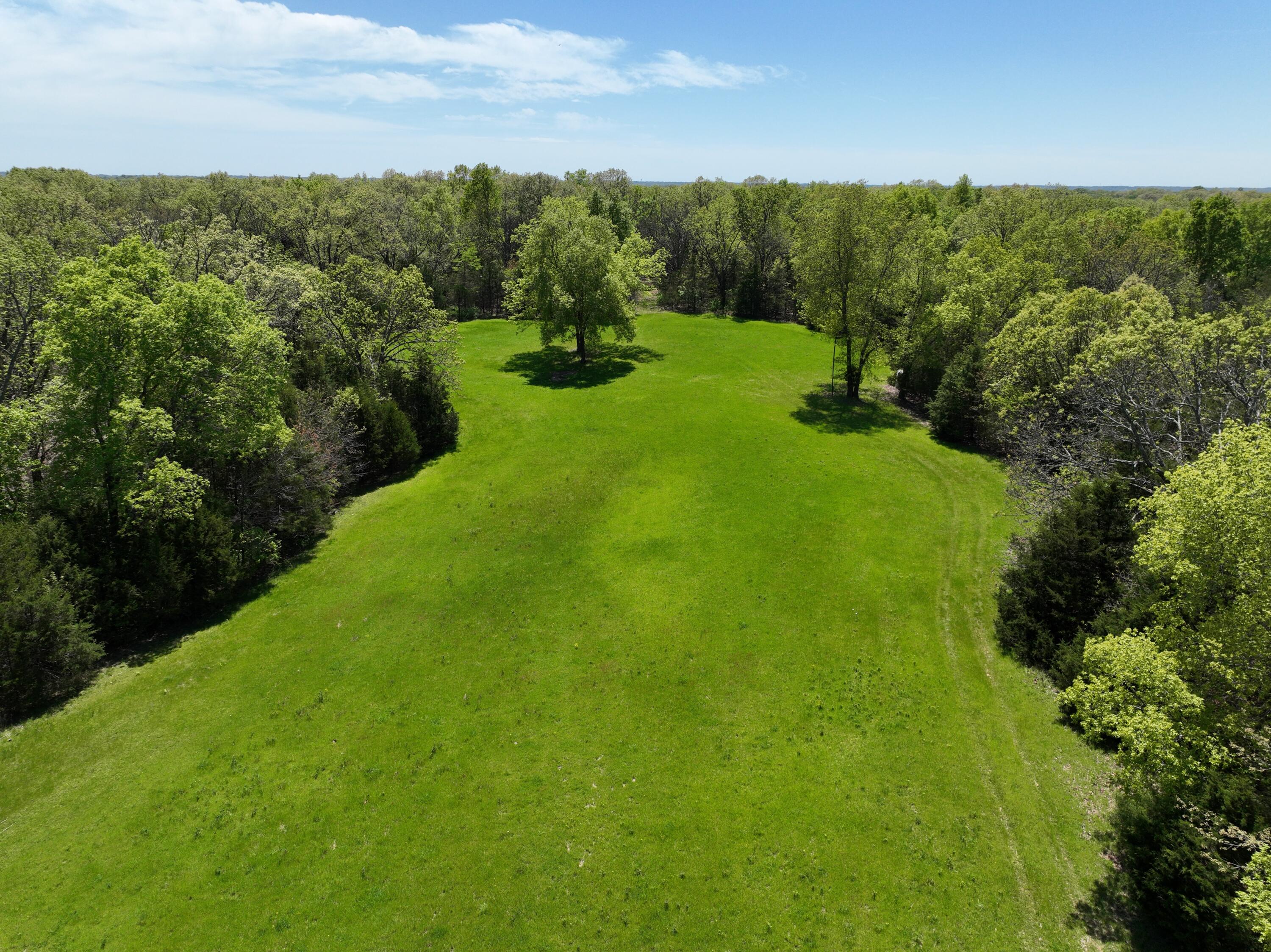 Photo 10 - Land for sale – 000  Corner Road  Rogersville, MO