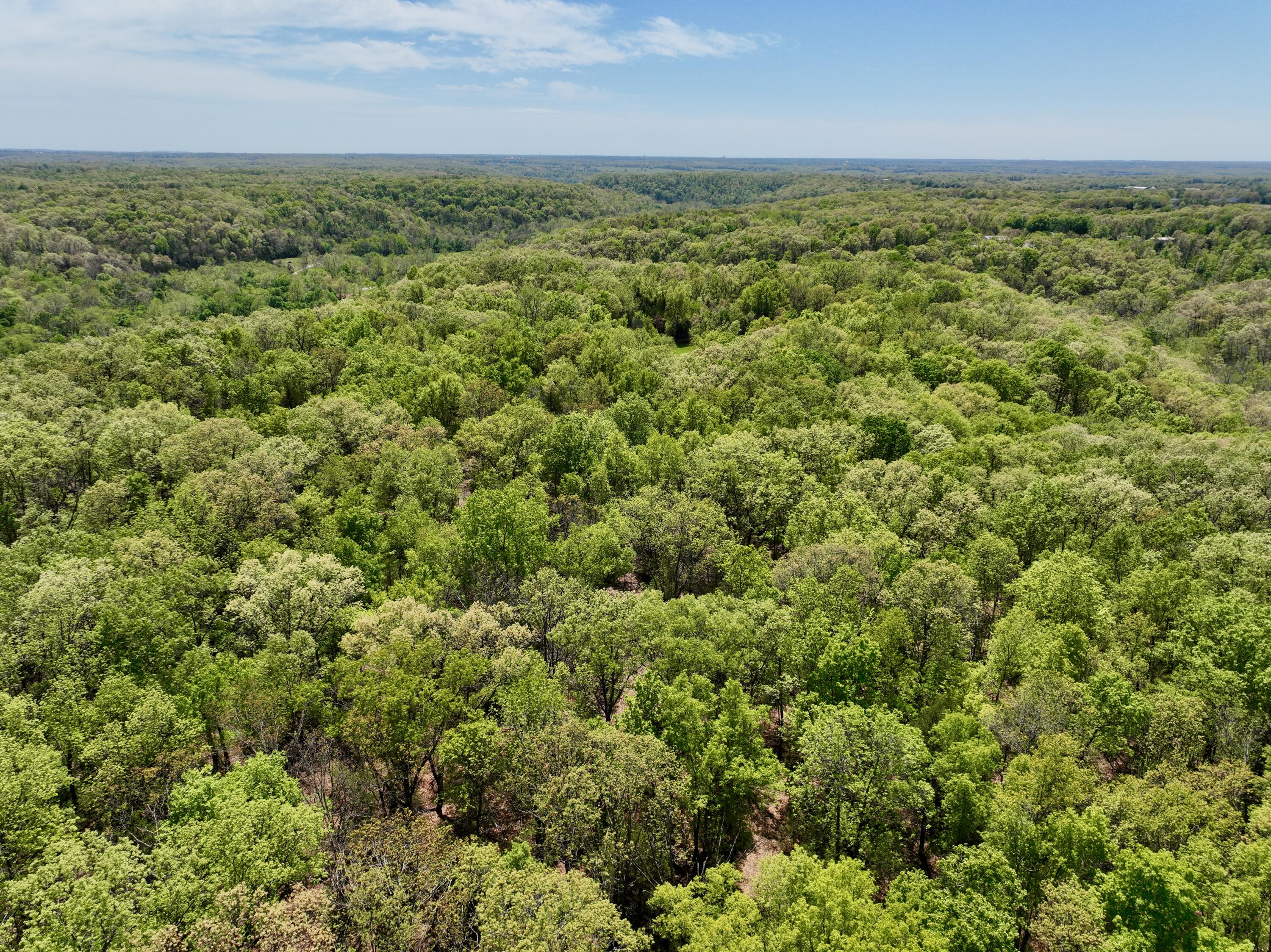 Photo 17 - Land for sale – 000  Corner Road  Rogersville, MO