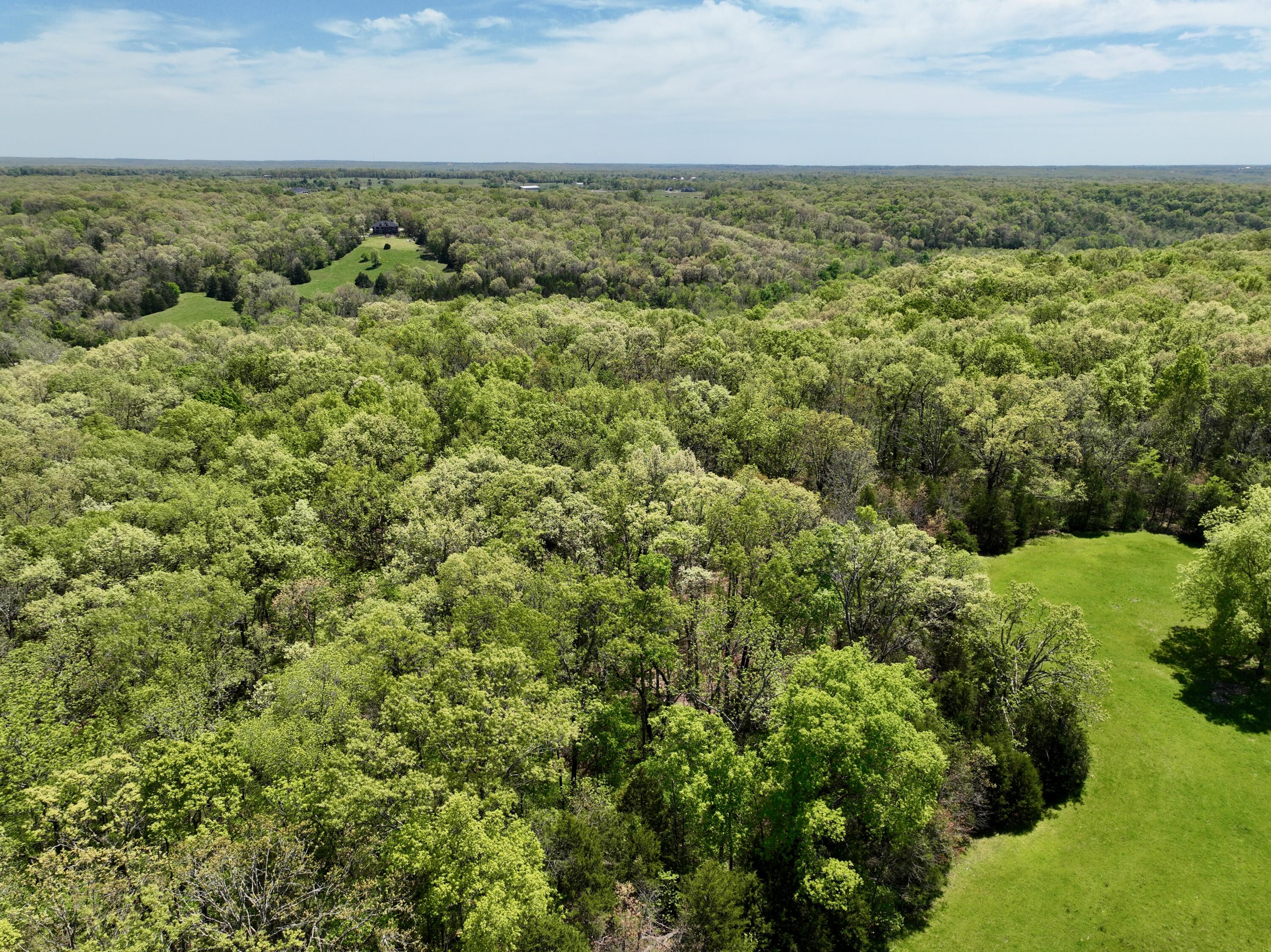 Photo 11 - Land for sale – 000  Corner Road  Rogersville, MO
