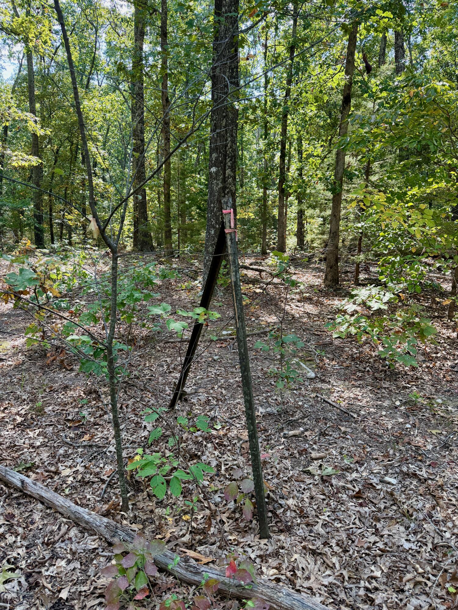 Photo 4 - Land for sale – 000  Corner Road  Rogersville, MO