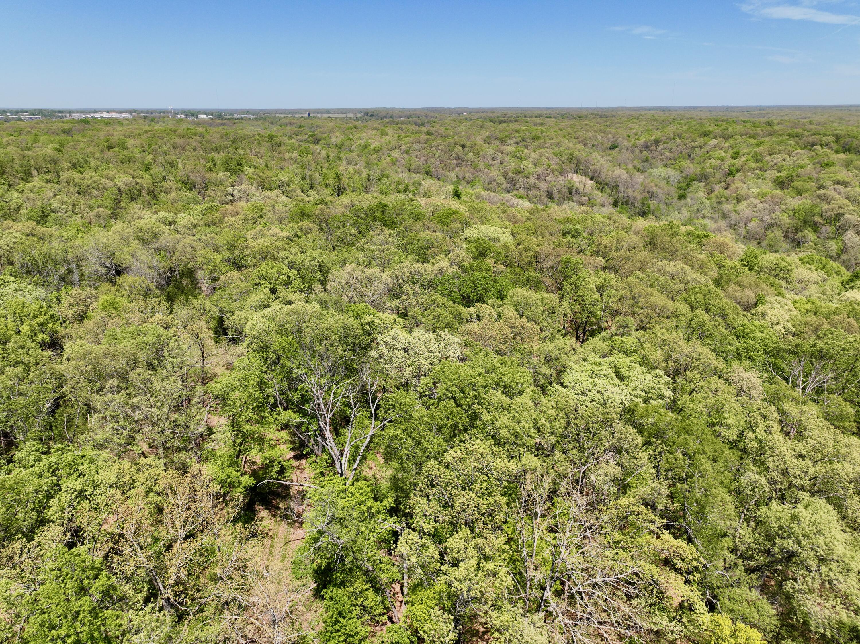 Photo 13 - Land for sale – 000  Corner Road  Rogersville, MO