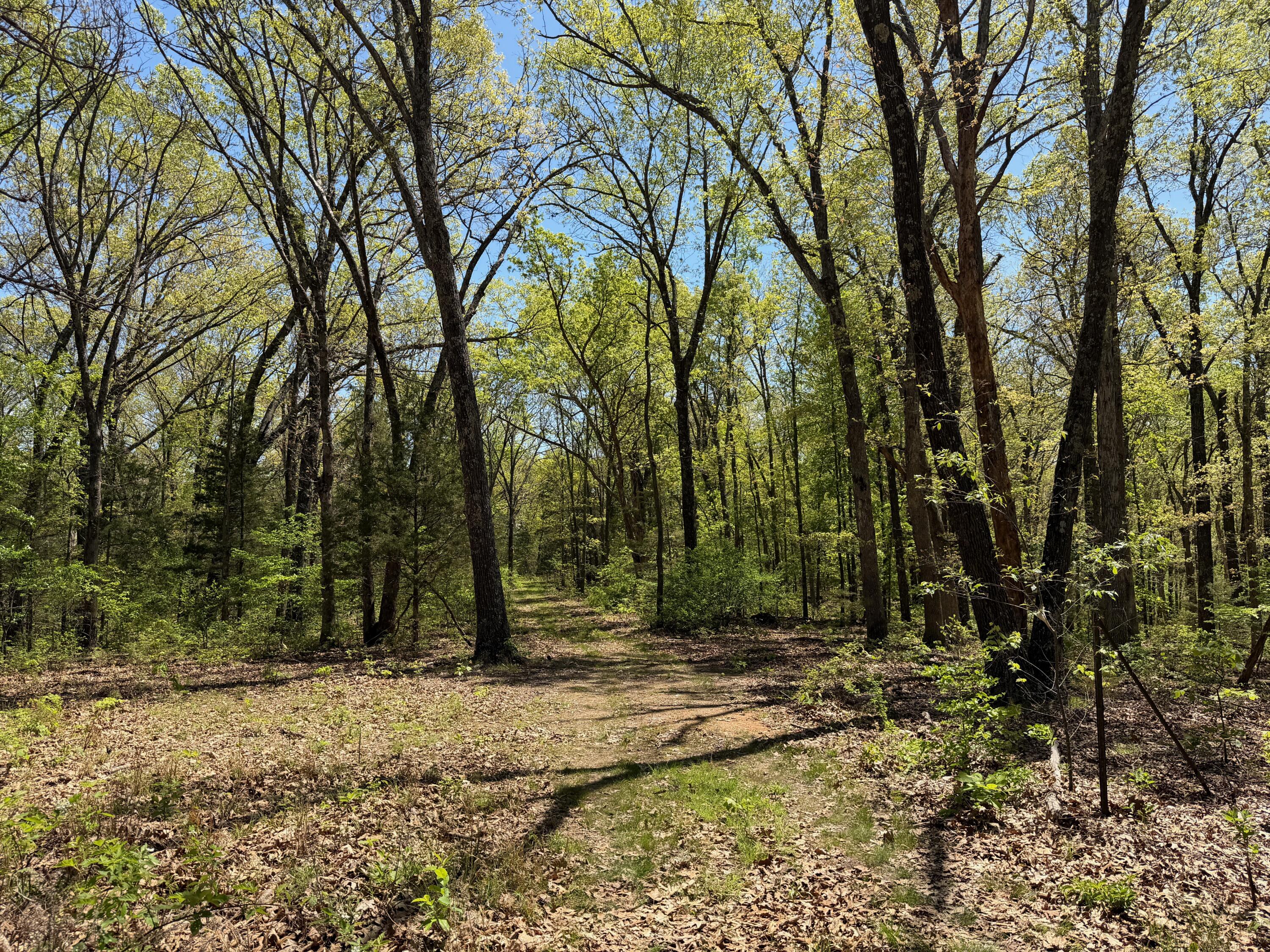 Photo 3 - Land for sale – 000  Corner Road  Rogersville, MO