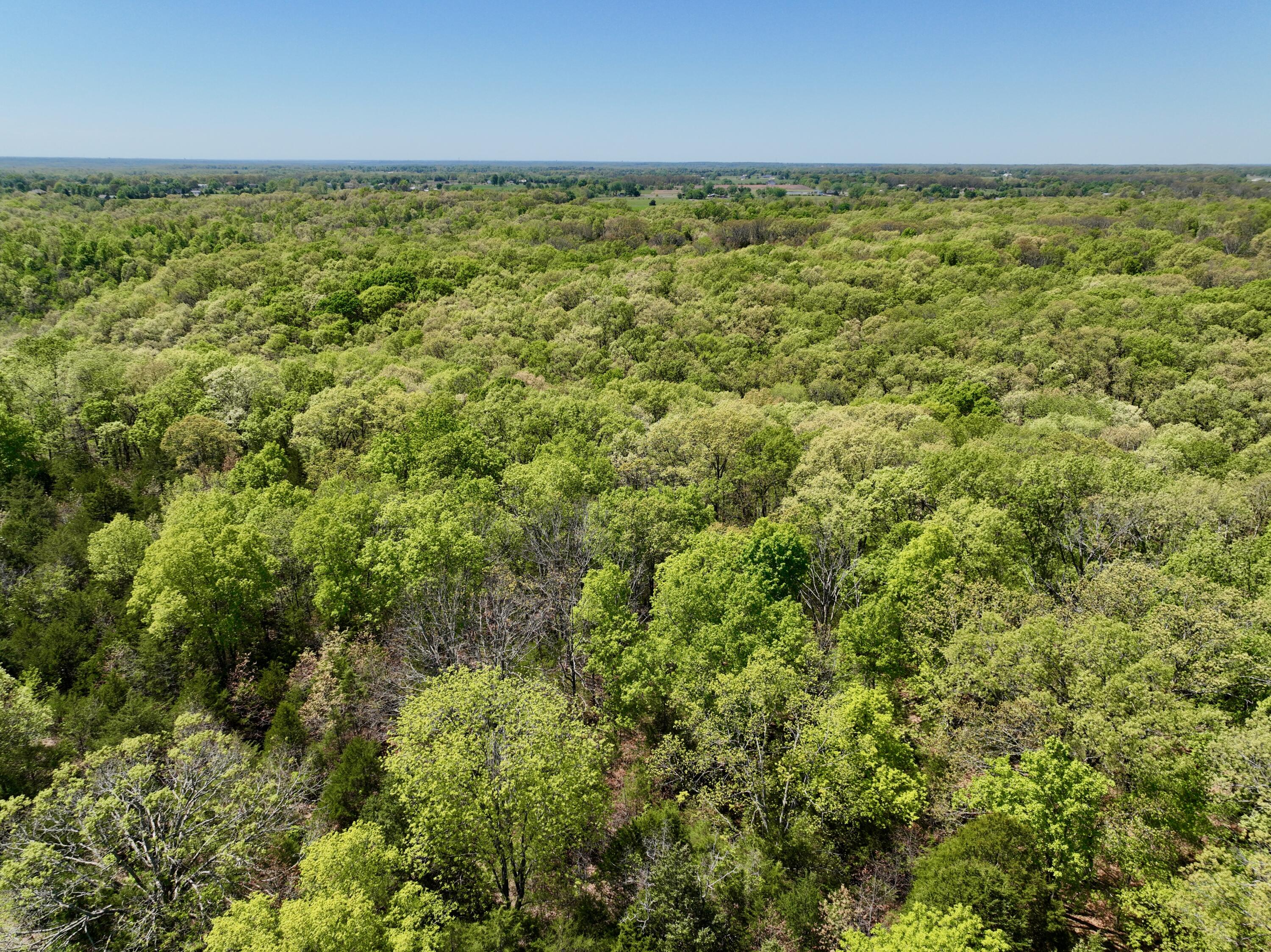 Photo 15 - Land for sale – 000  Corner Road  Rogersville, MO